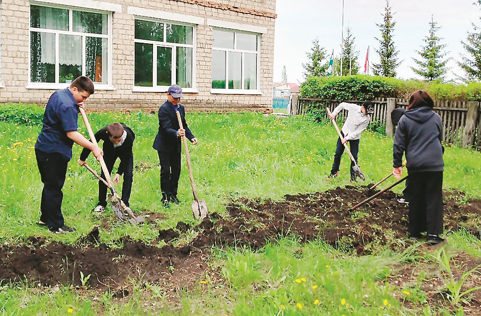 Ҡырмыҫҡа кеүек эшләйҙәр ҙә