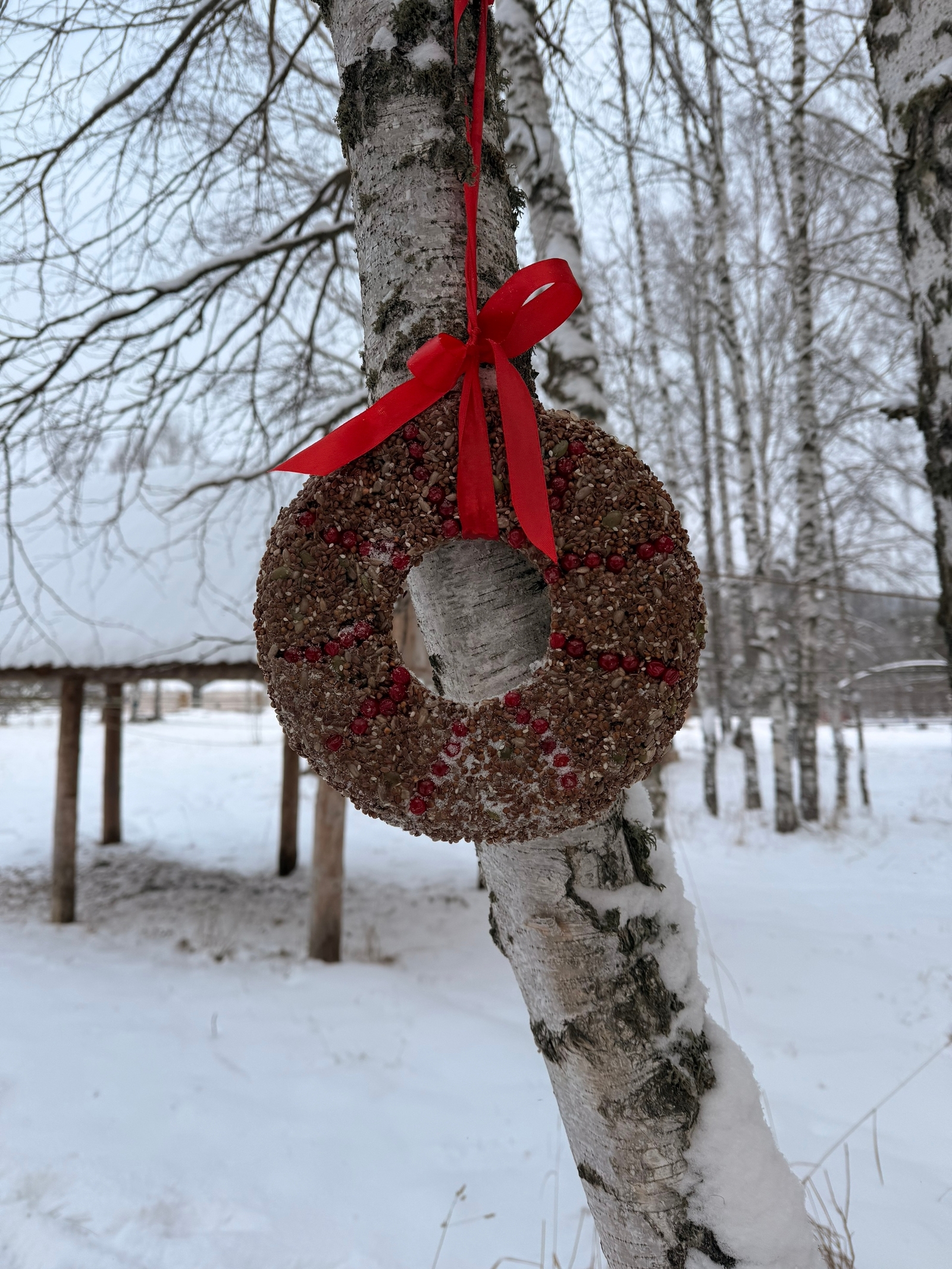 Ҡоштарға - Яңы йыл тағараҡтары