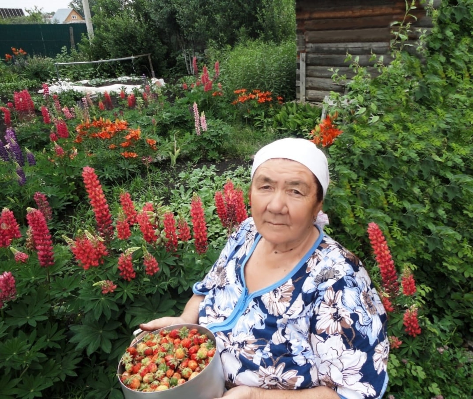 Әсәйҙәрҙе Хоҙай яратҡан