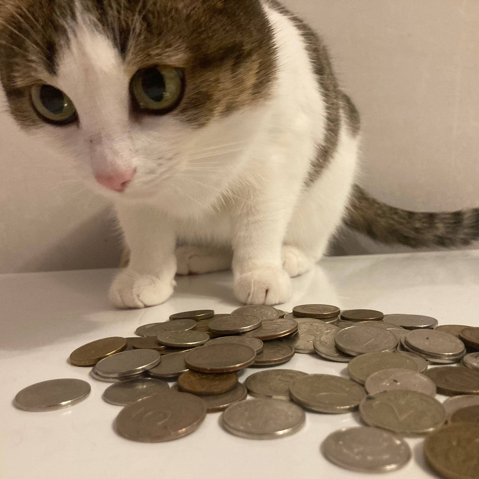 Ваҡ аҡса йыялар