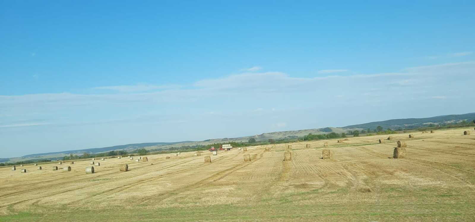 Тыуған ерем