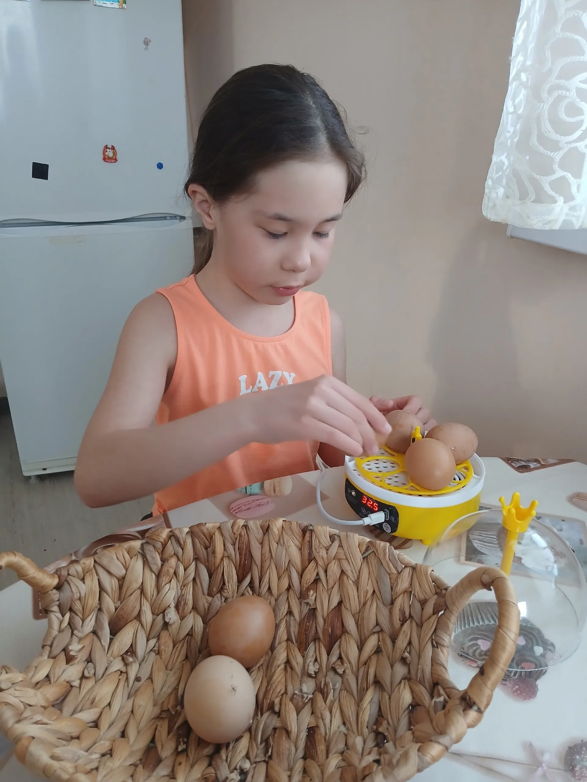 Аиданың себешкәйе