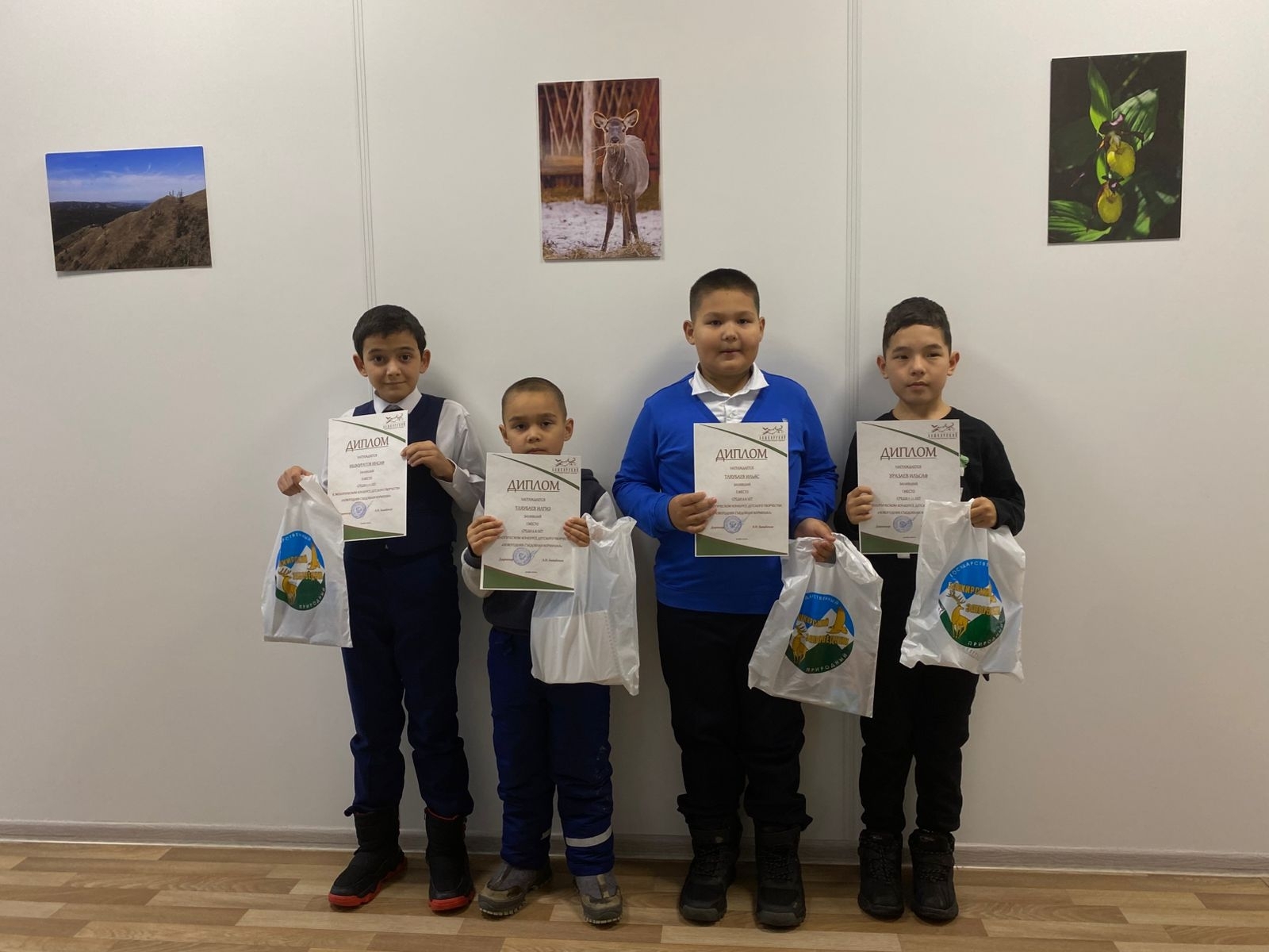 Ҡоштарға - Яңы йыл тағараҡтары