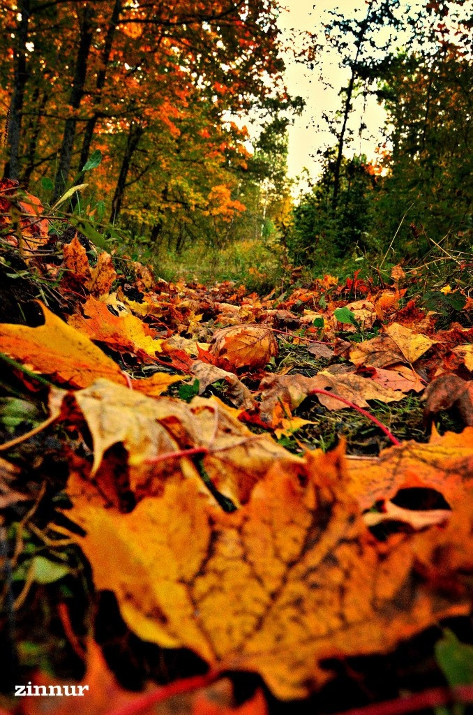 Тормош һәр кешене һынап ҡарай