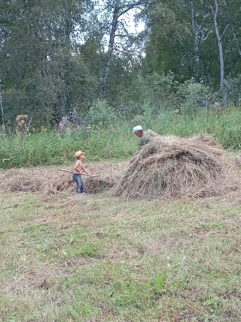 Рушан да  бесән эшендә