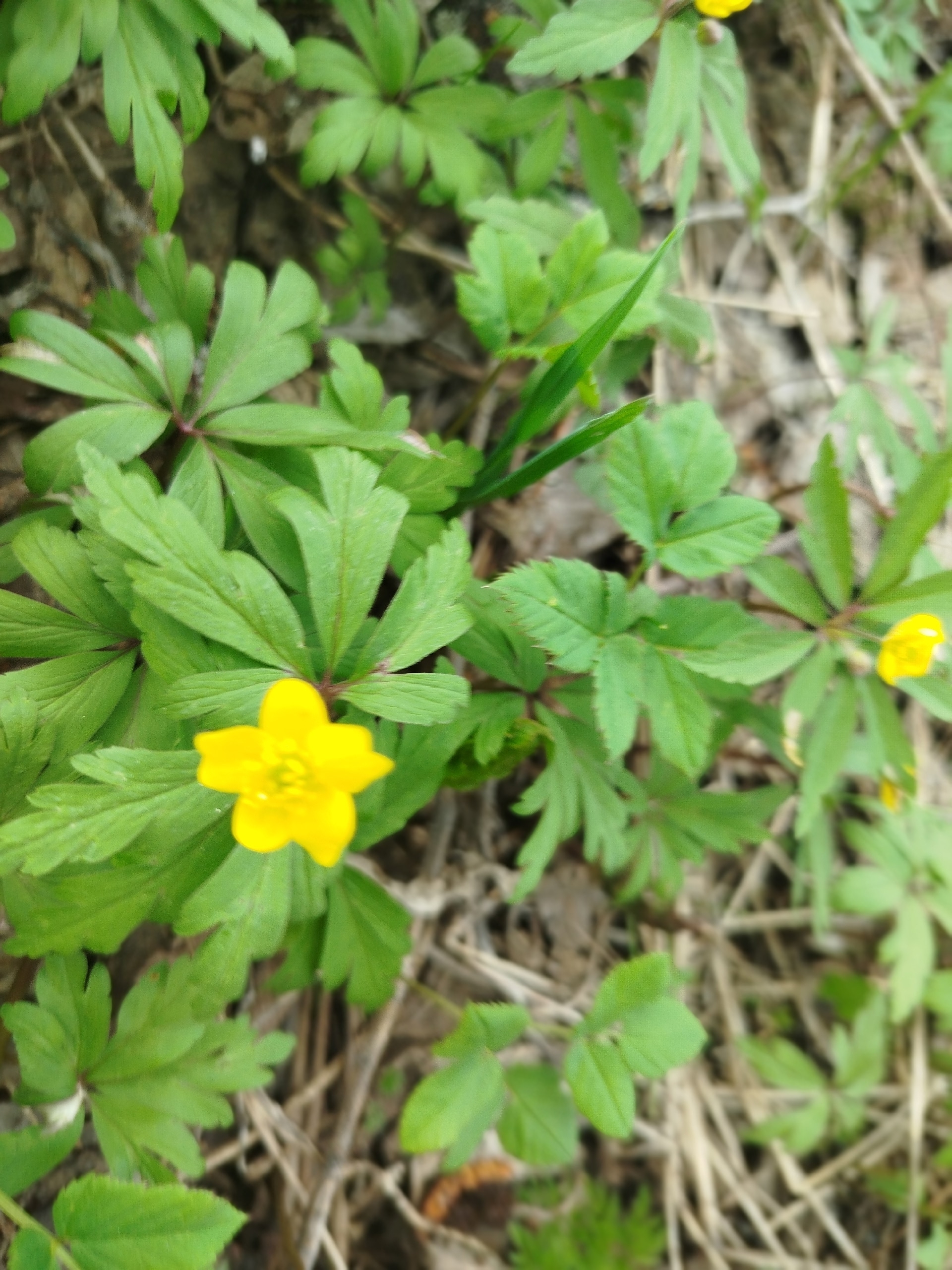 Апрель айына һынамыштар
