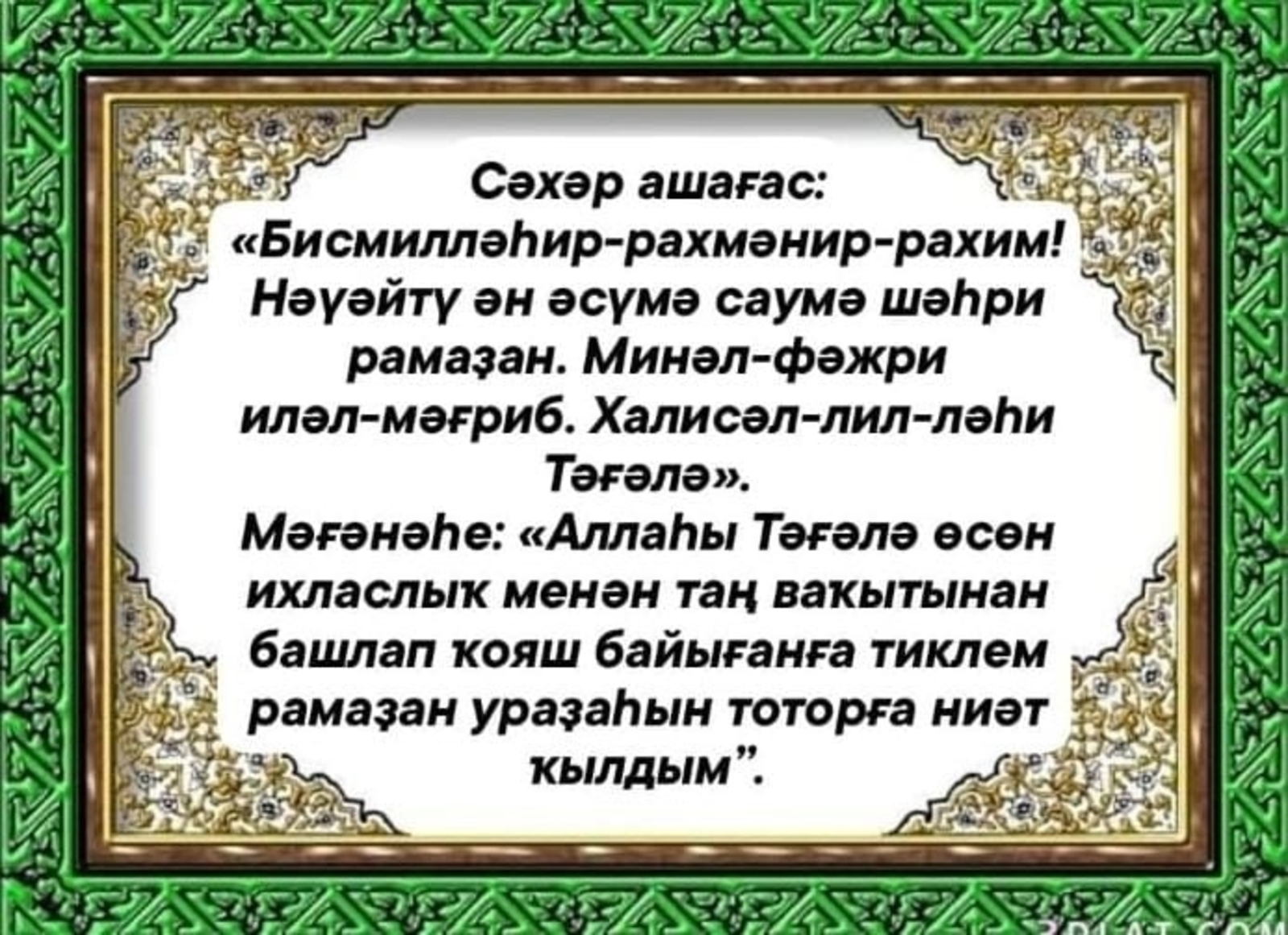 Һаумы, февраль!