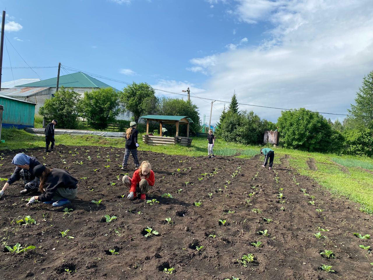 Мул уңыш булһын!