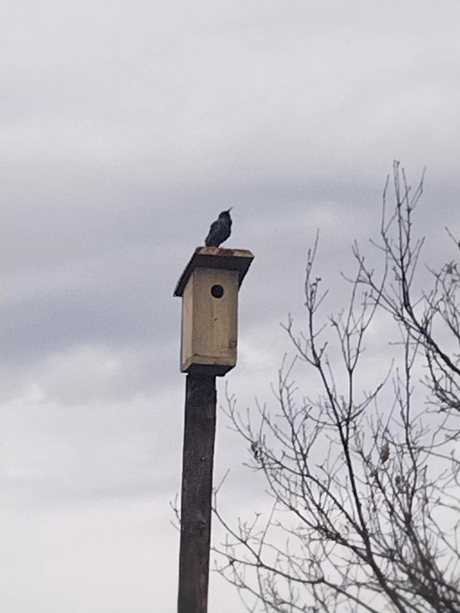 Яратам мин был ҡоштарҙы