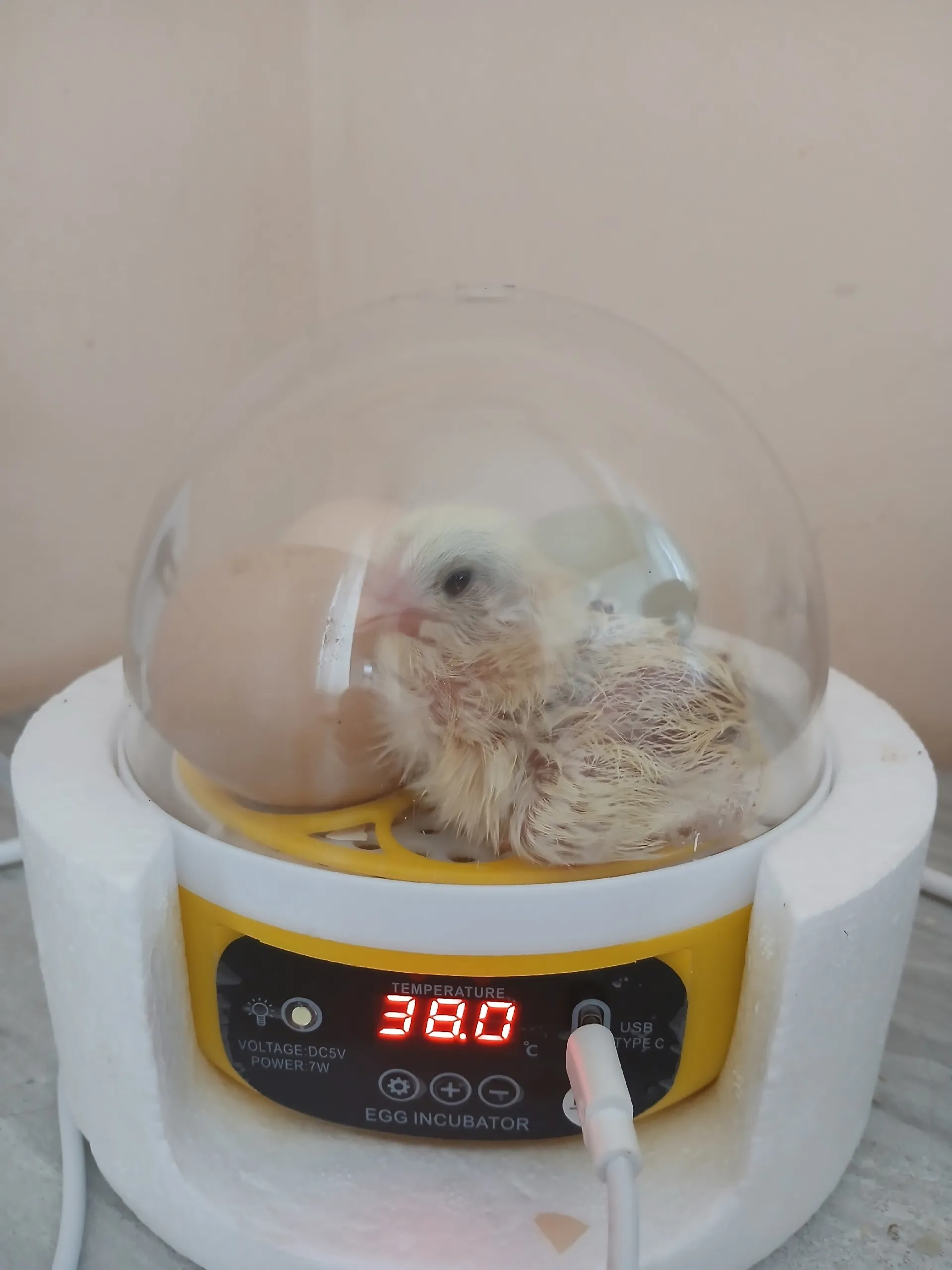 Аиданың себешкәйе
