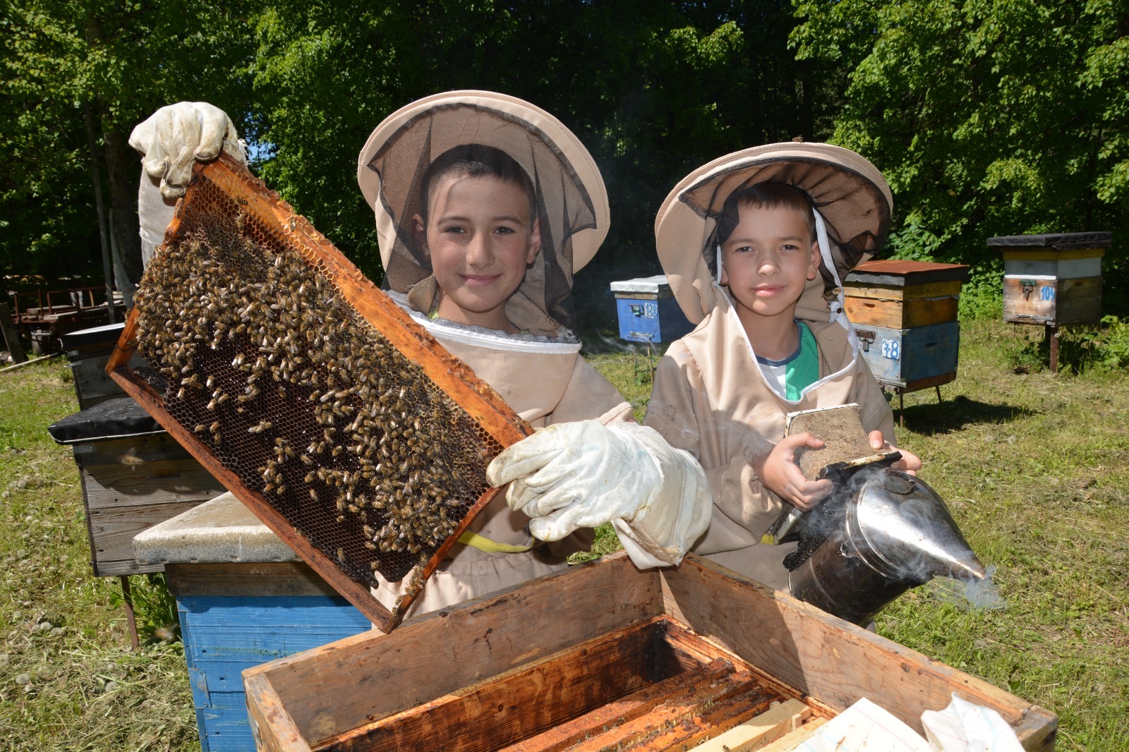 Икеһе лә умартасы булырға хыяллана