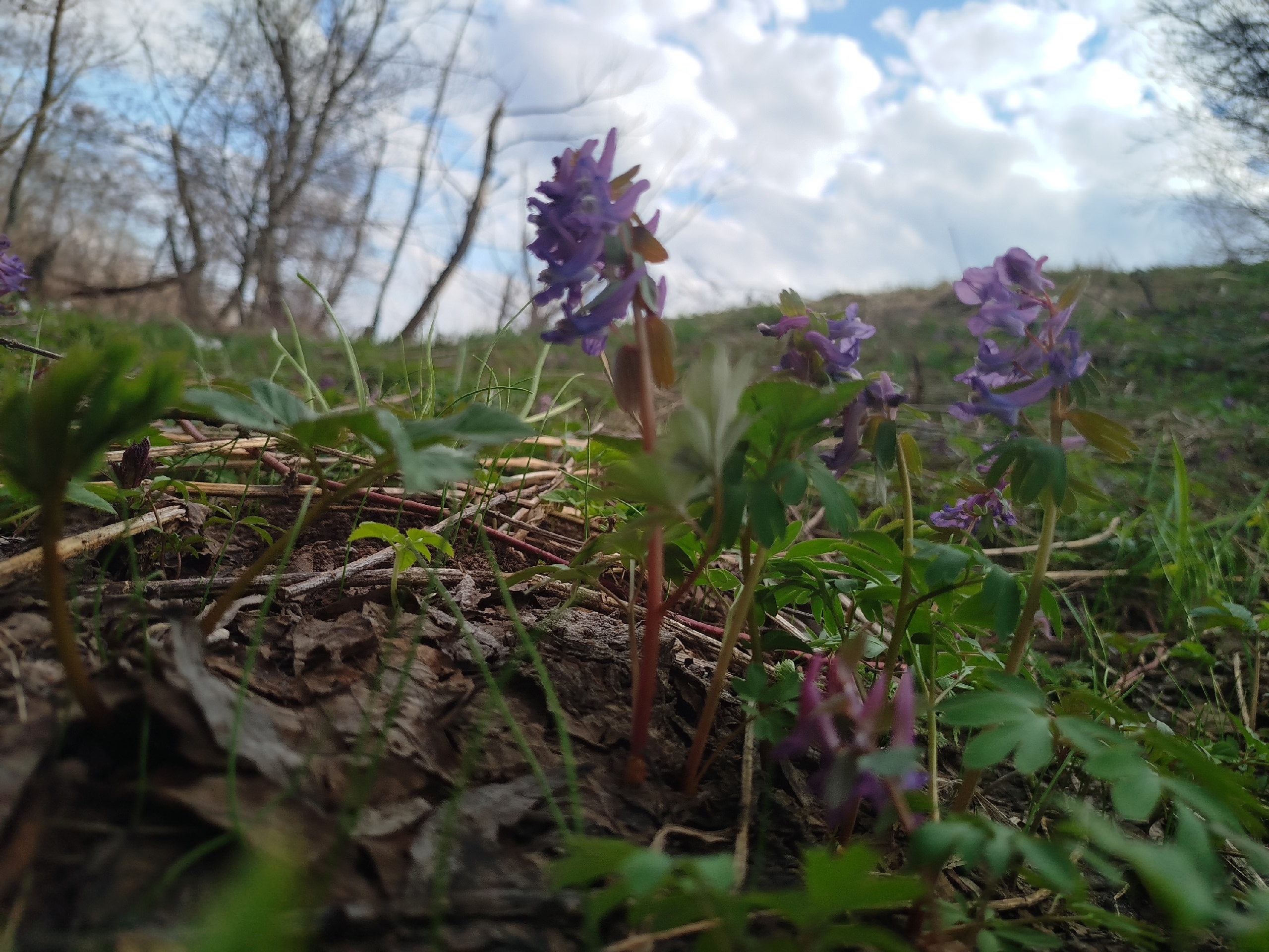 Апрель айына һынамыштар