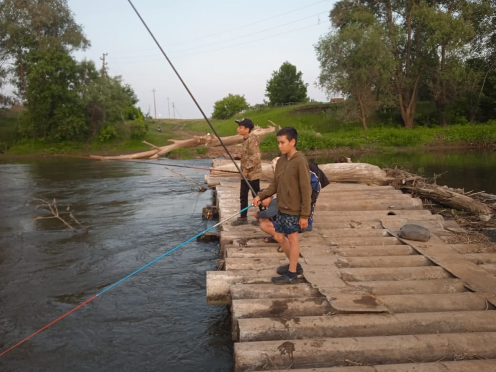 Дим буйында