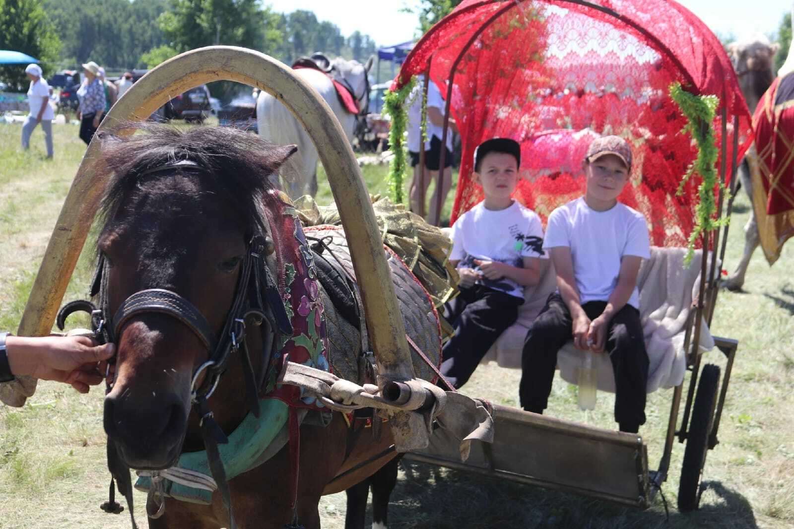 Баҡшай яланы гөрләне