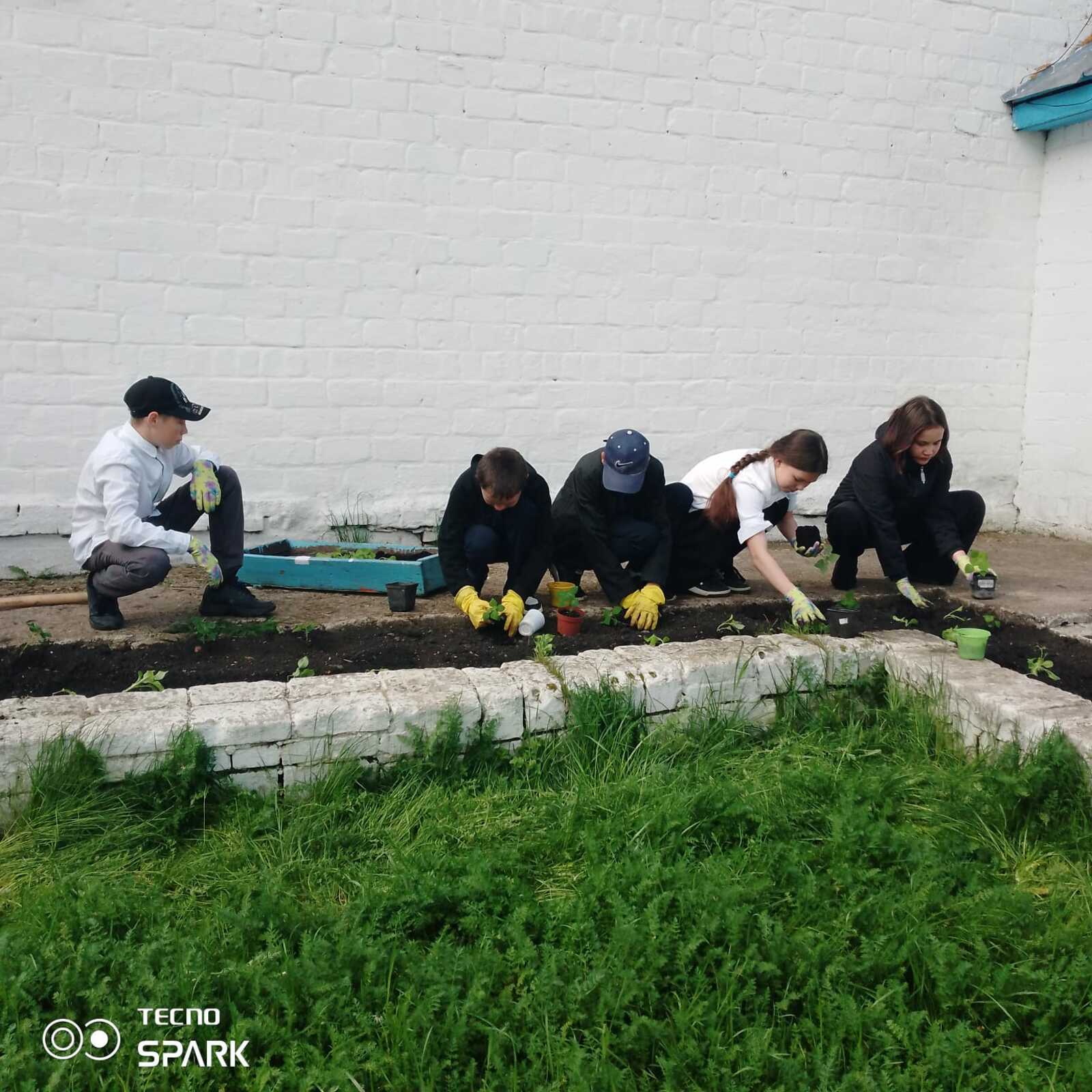 Ҡырмыҫҡа кеүек эшләйҙәр ҙә