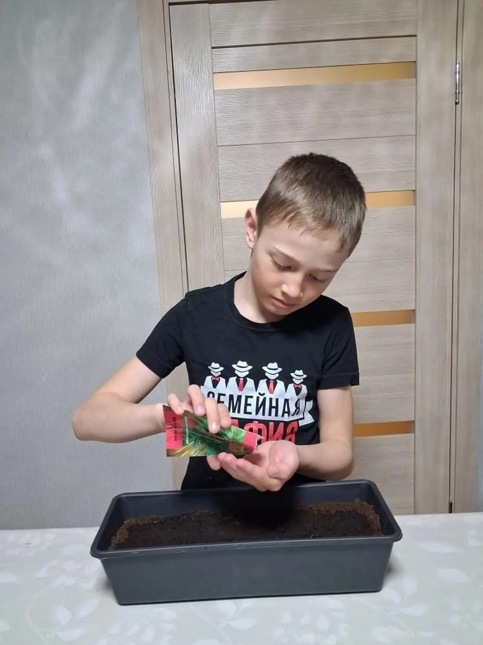 Илшат үҫентеләр сәсә