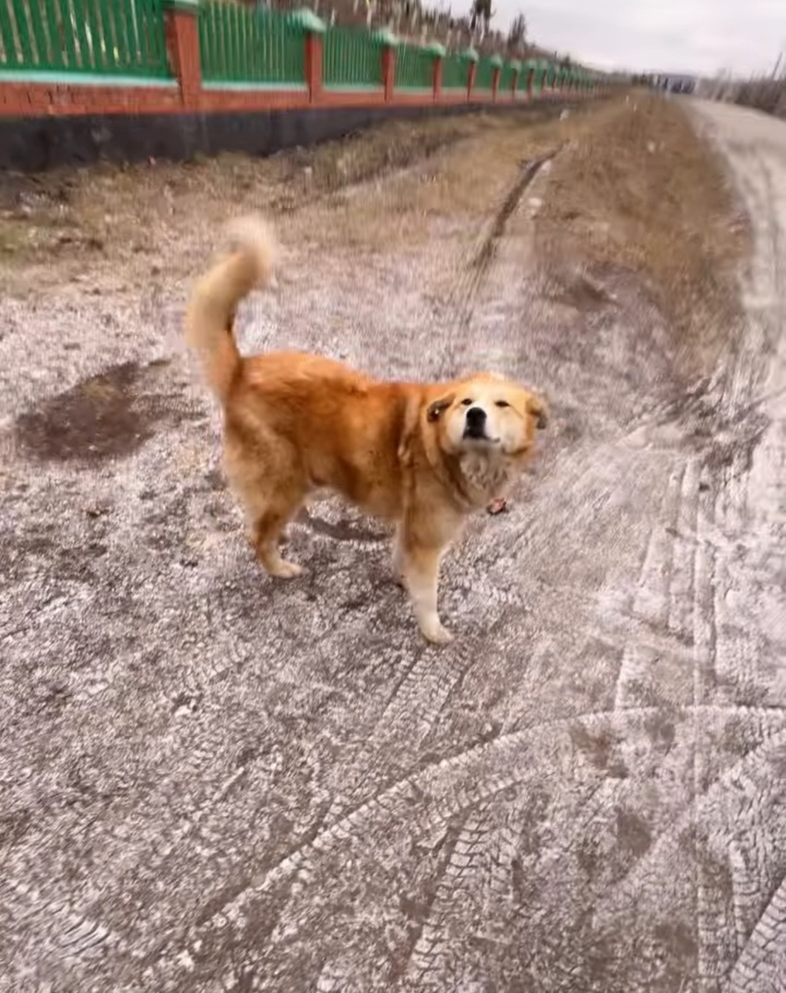 Эт  хужаһын көтә...