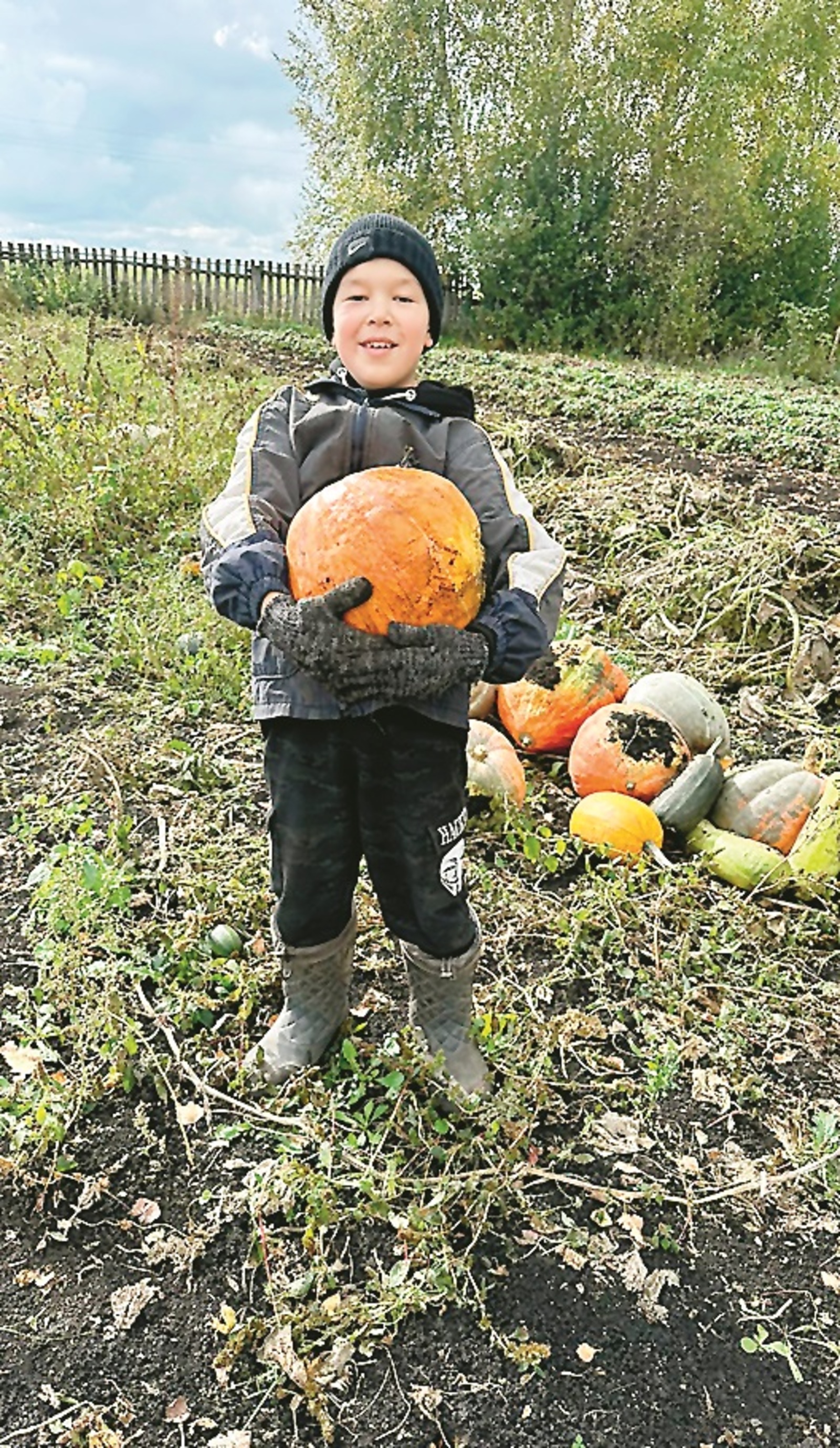 Айхан баҡса үҫтерә