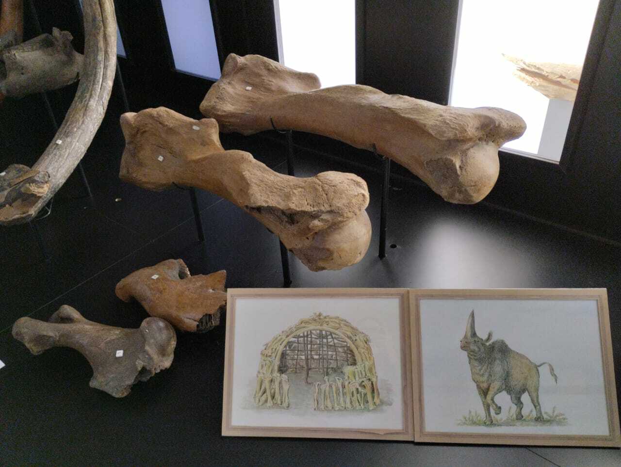 "Сәнғәт төнө" үтте