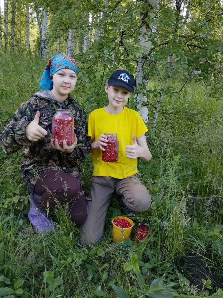 Еләк бешкән