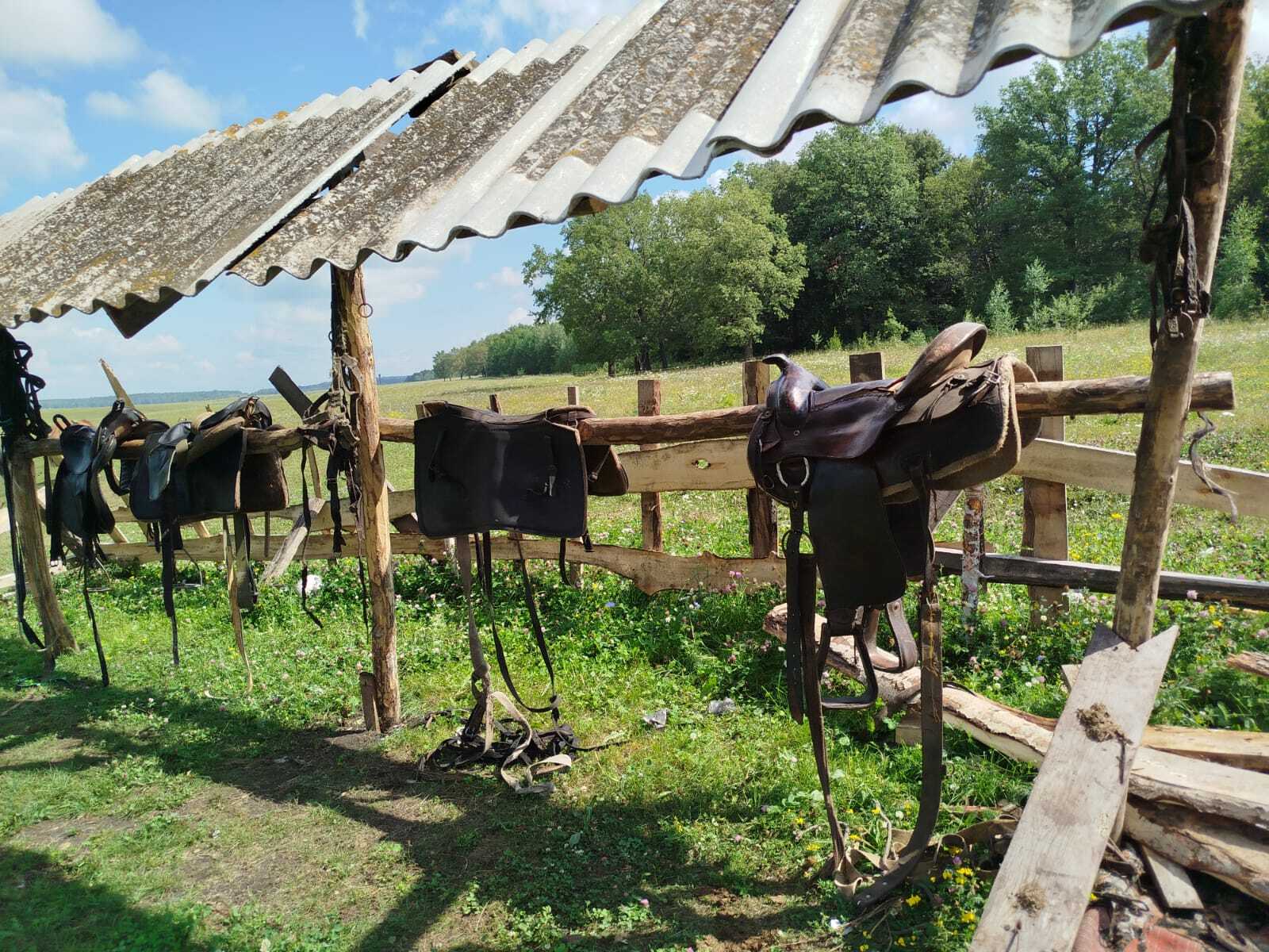 «Аталыҡ» сыныҡтыра, тәрбиәләй