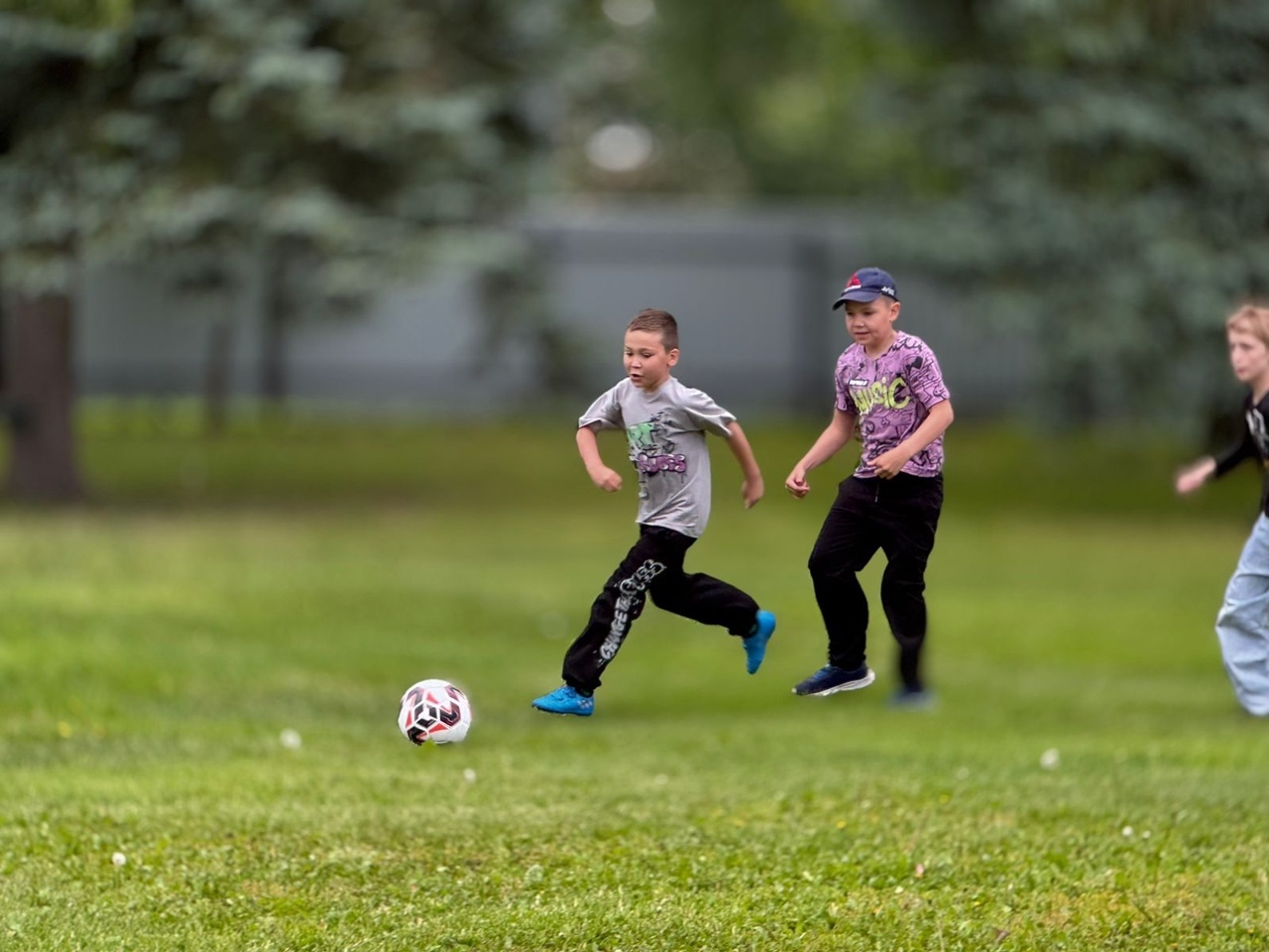 Лагерҙар күбәйгән