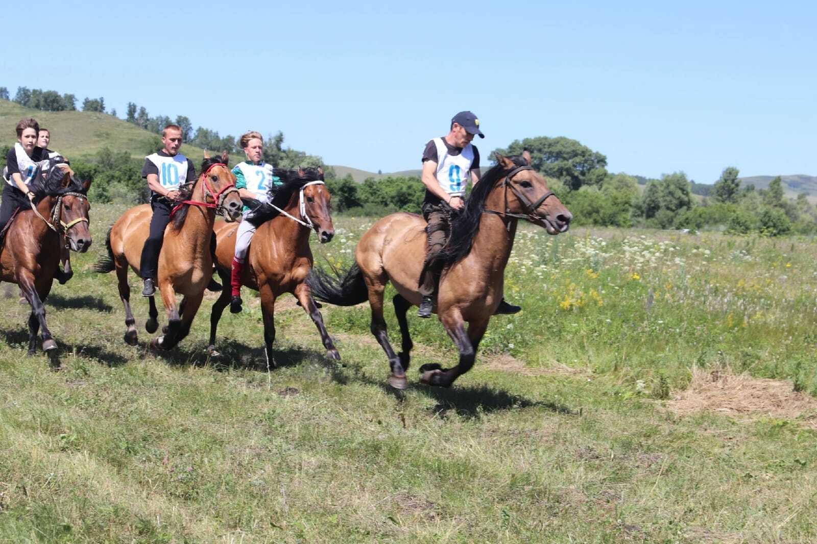 Баҡшай яланы гөрләне