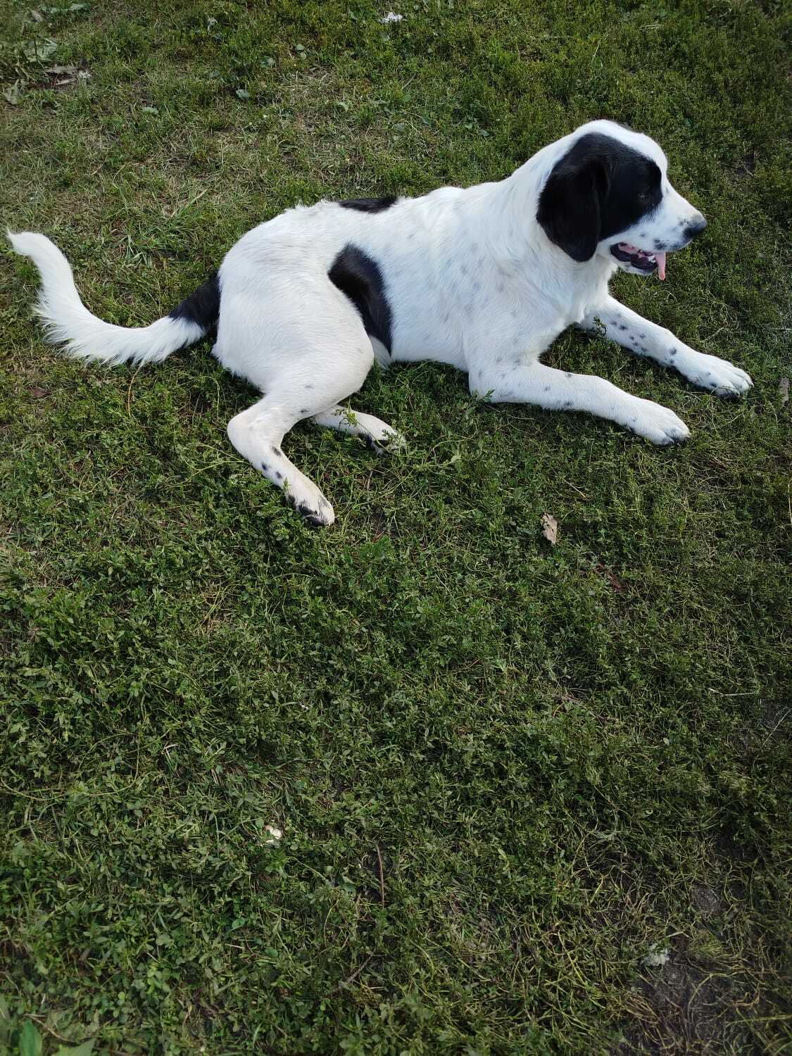 «Аталыҡ» сыныҡтыра, тәрбиәләй