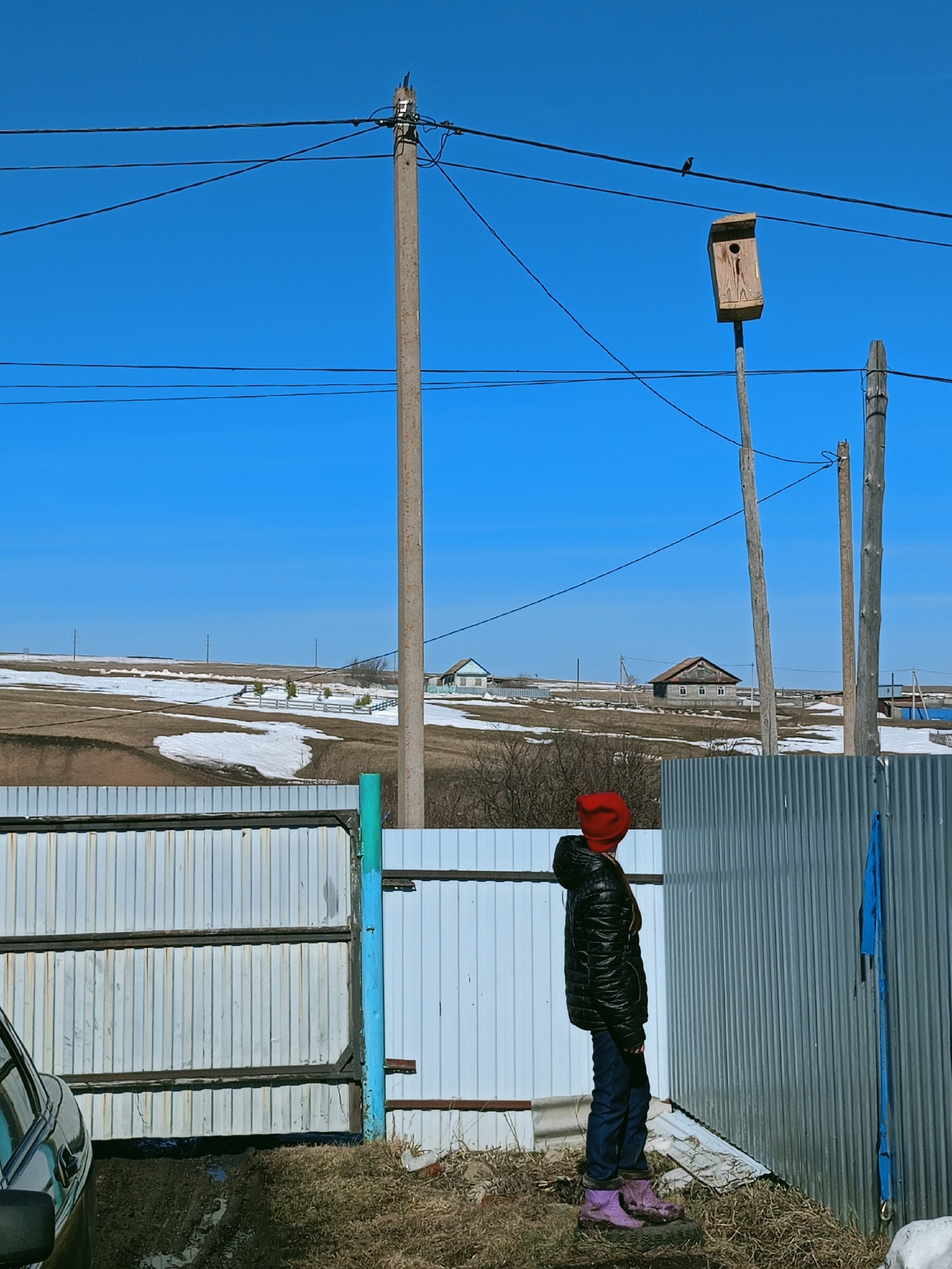 Сыйырсығым ҡайтты