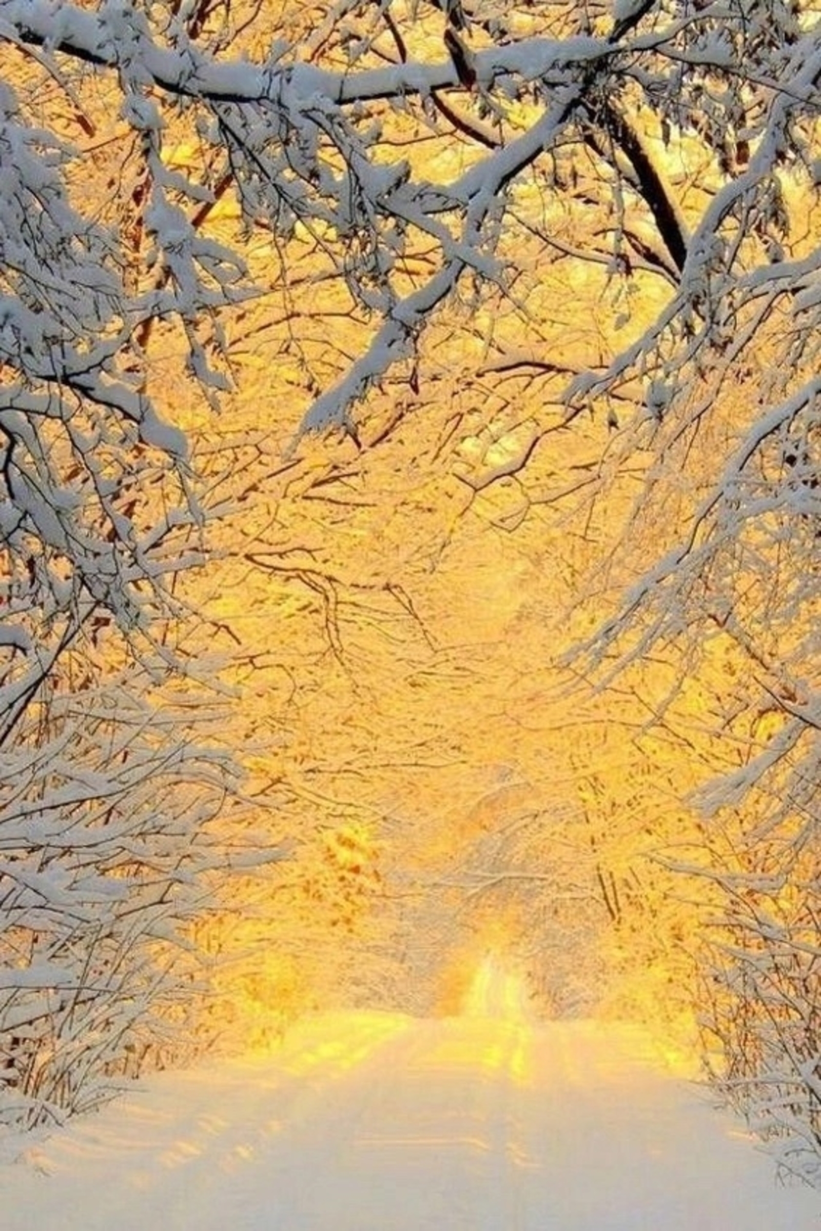 Саҡырмаған ергә атлыҡма...