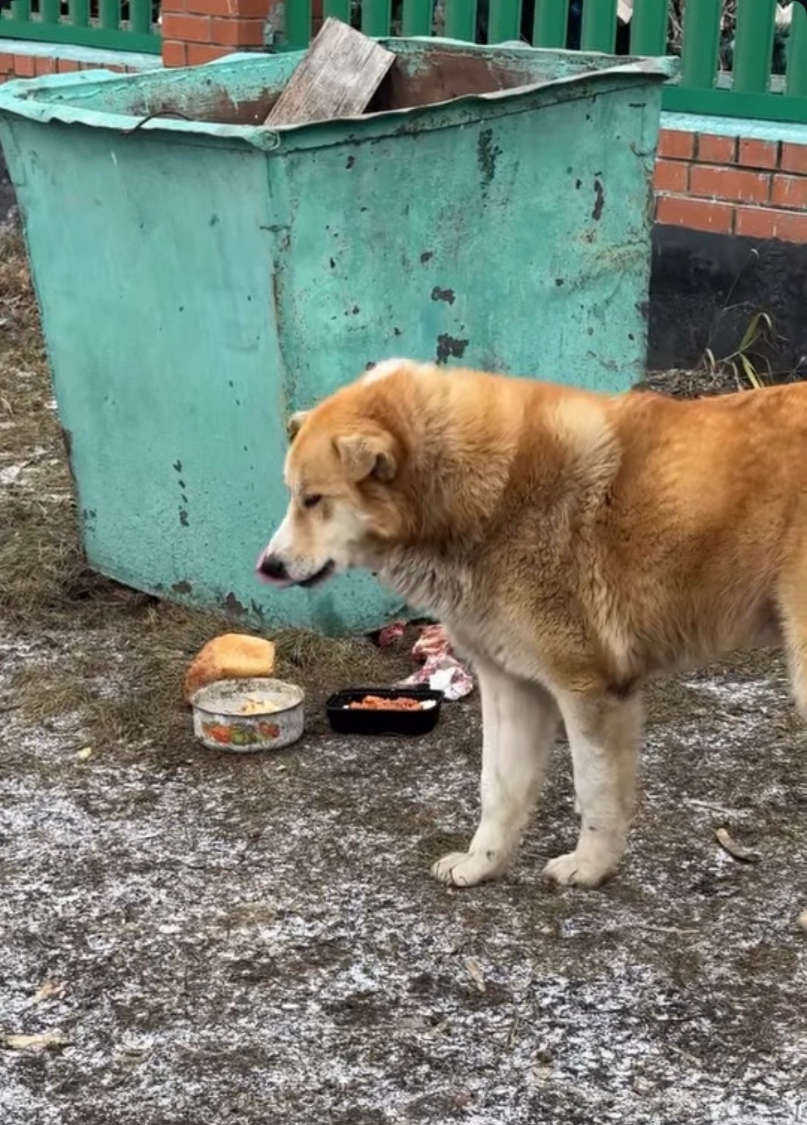 Эт  хужаһын көтә...