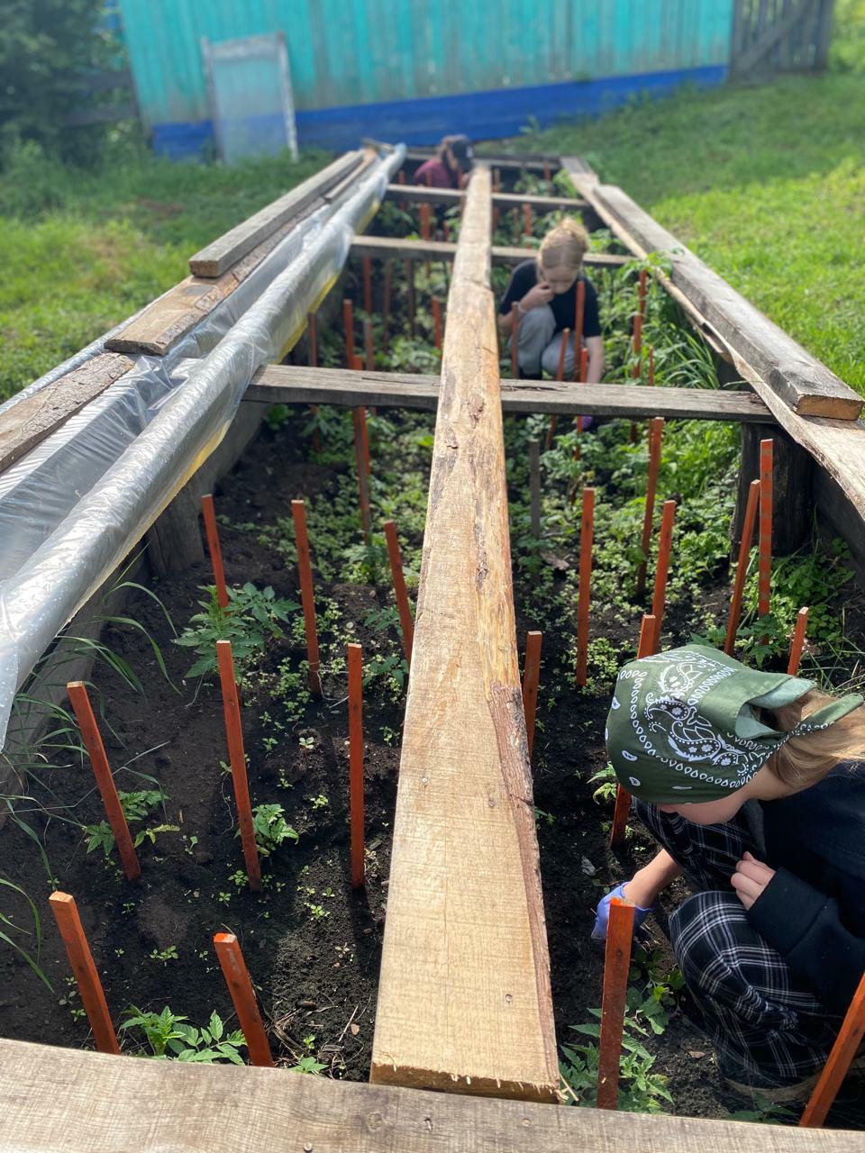 Мул уңыш булһын!