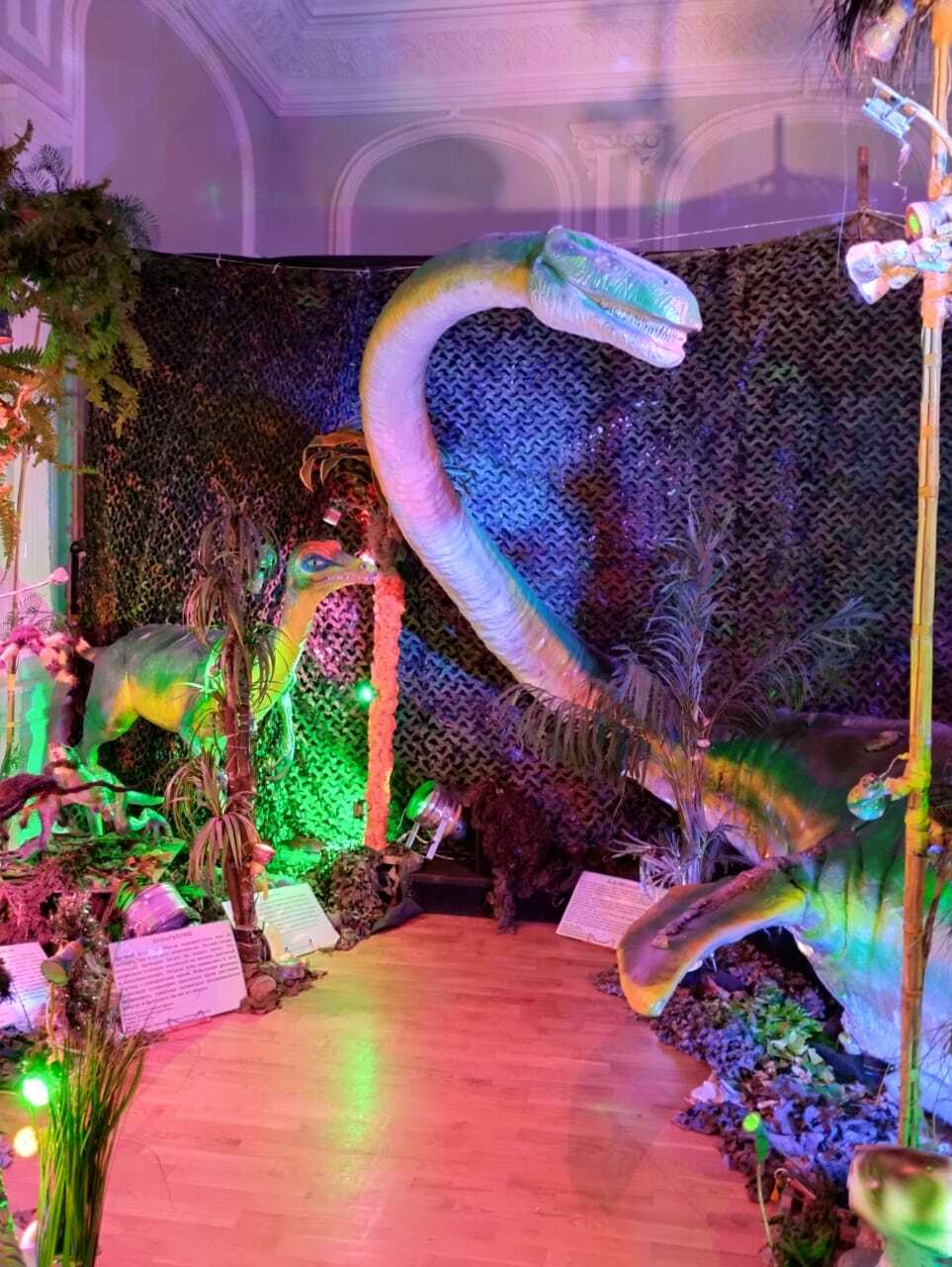 "Сәнғәт төнө" үтте