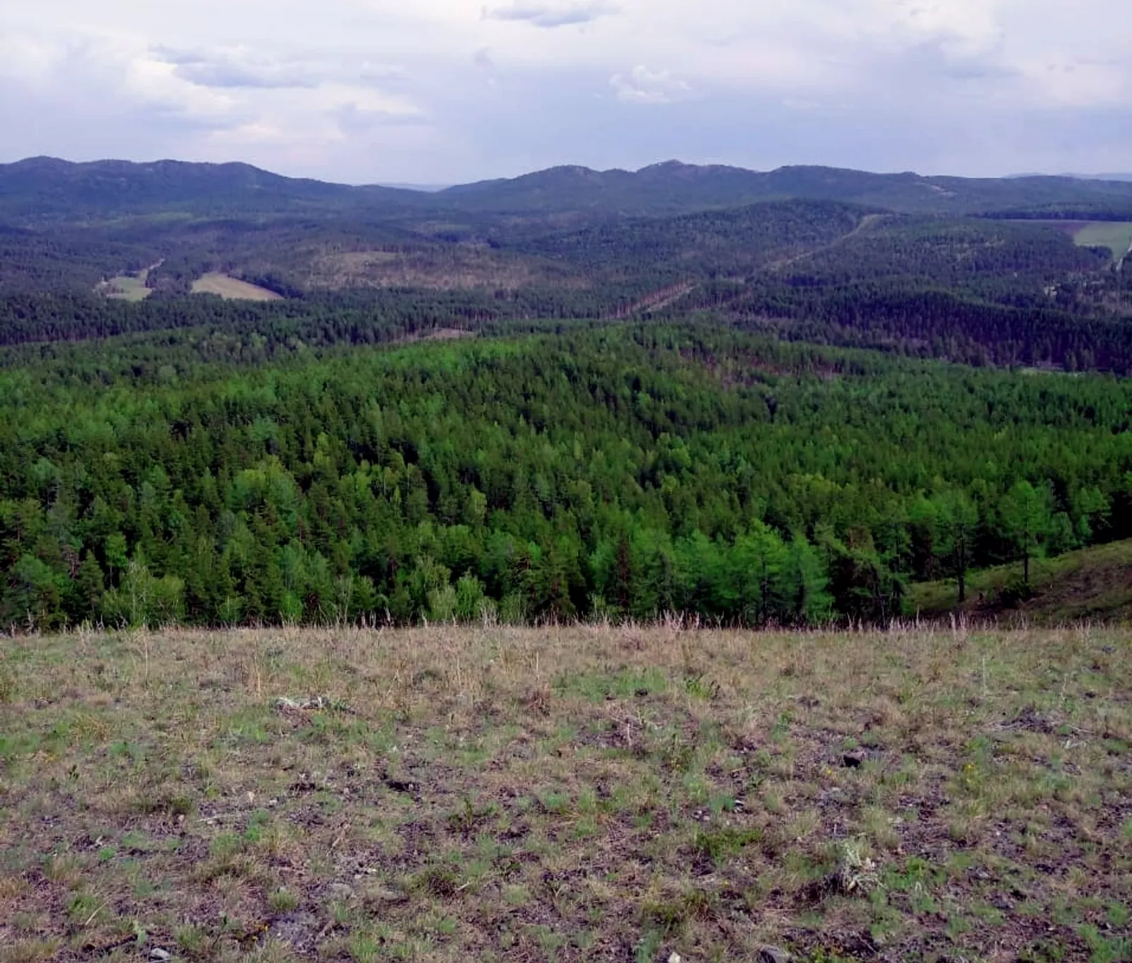 Элгеләү тауы