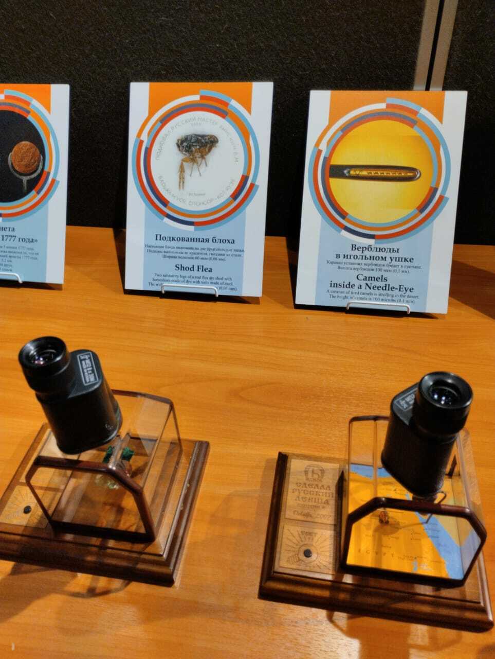 "Сәнғәт төнө" үтте