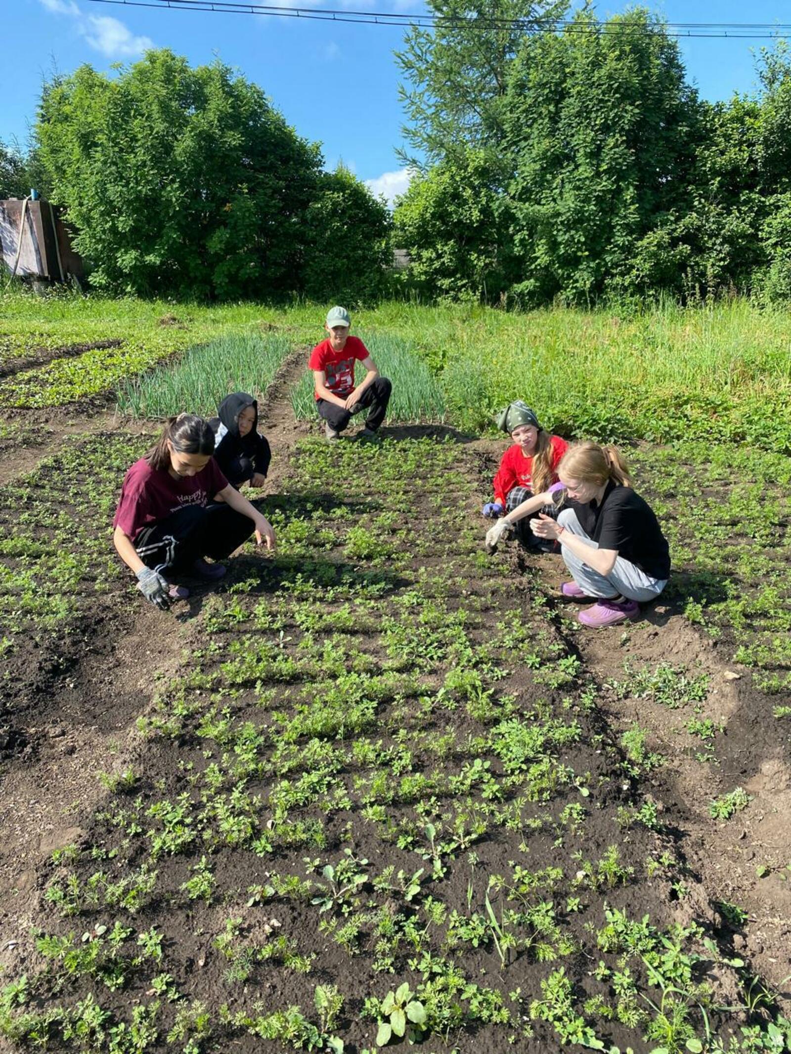 Мул уңыш булһын!