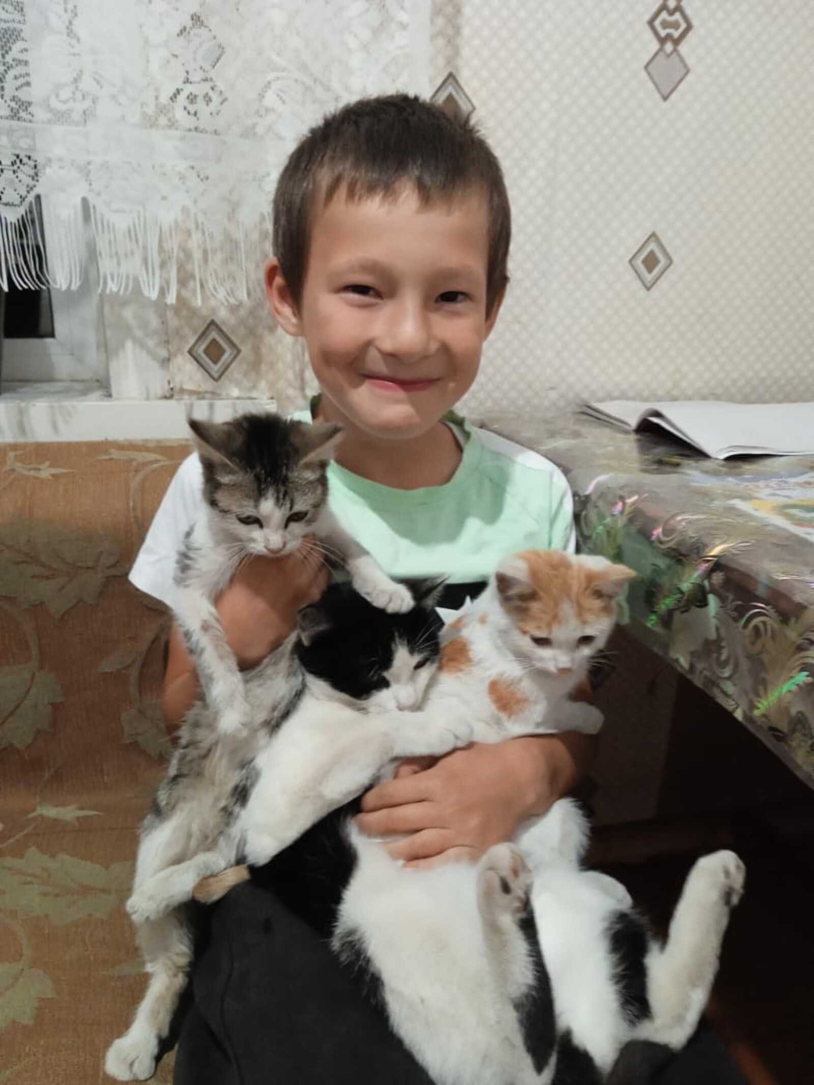 Батыр бесәй ярата