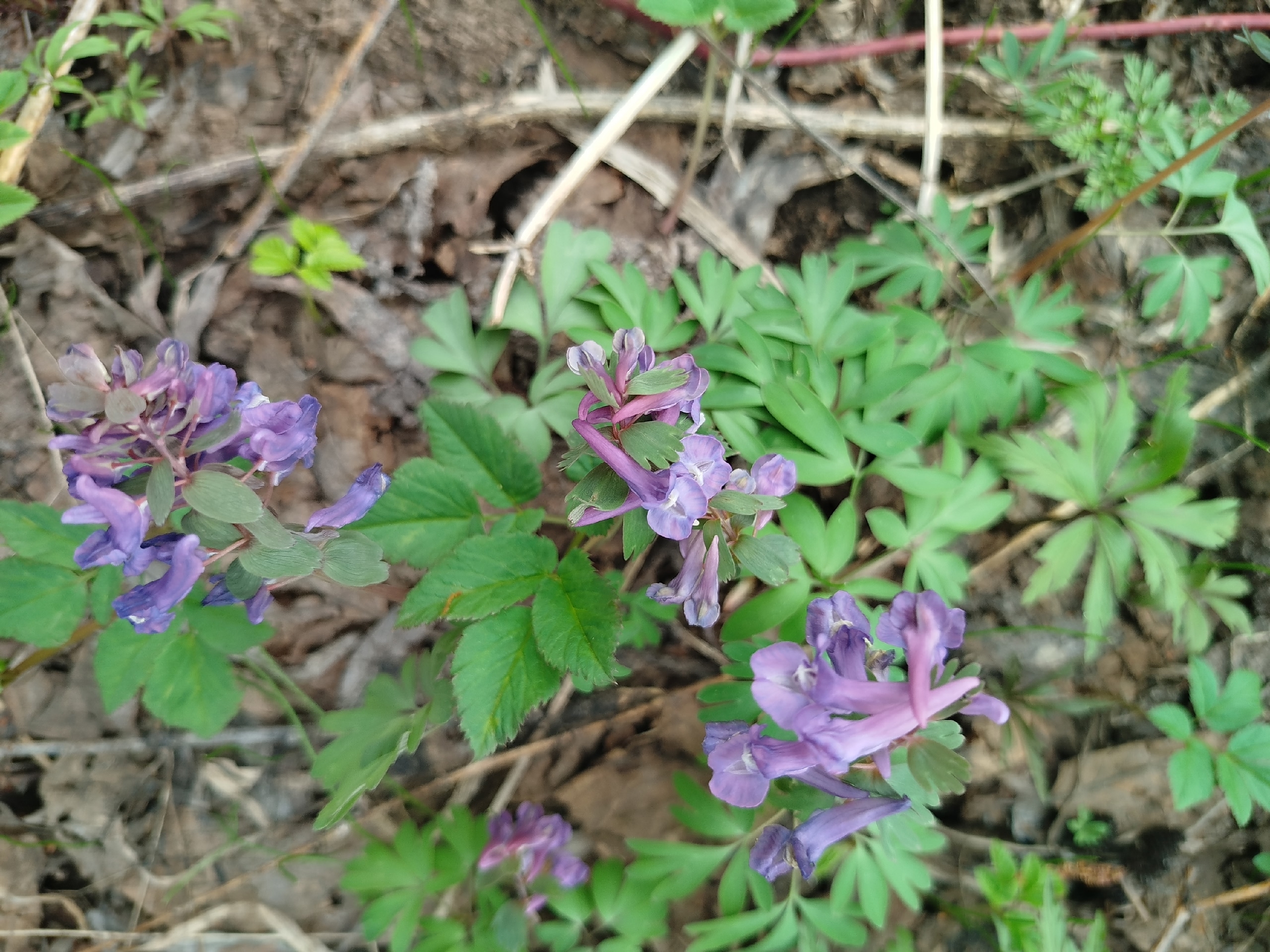 Апрель айына һынамыштар