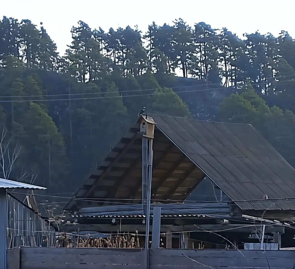 Яратам мин был ҡоштарҙы