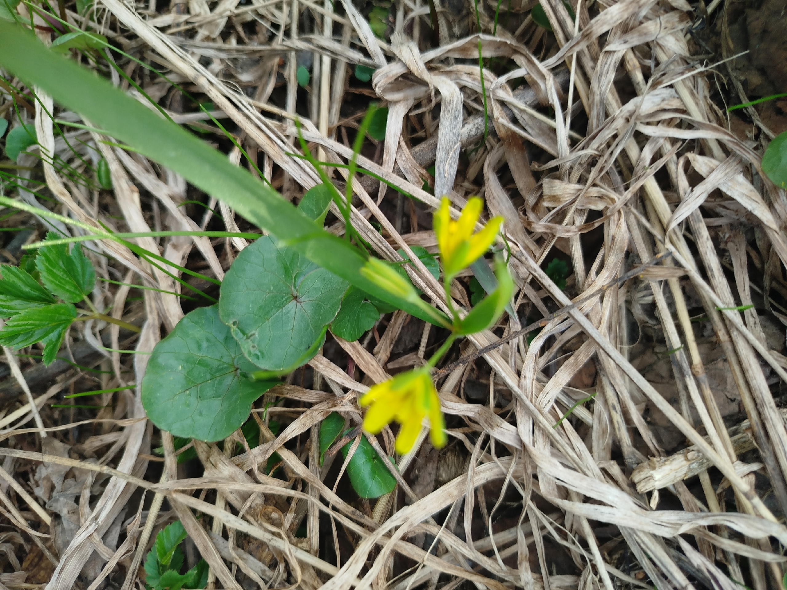 Апрель айына һынамыштар