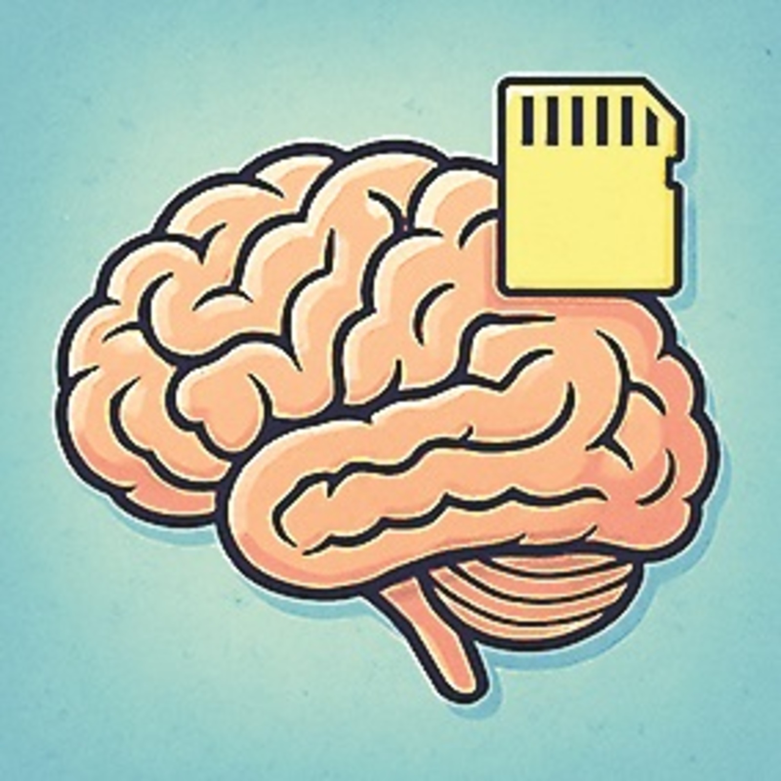 Иң ҙур орган ниндәй?