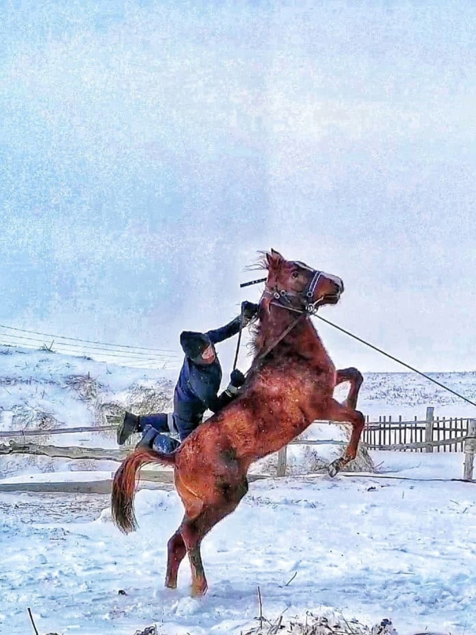 Берәү ишек шаҡый...