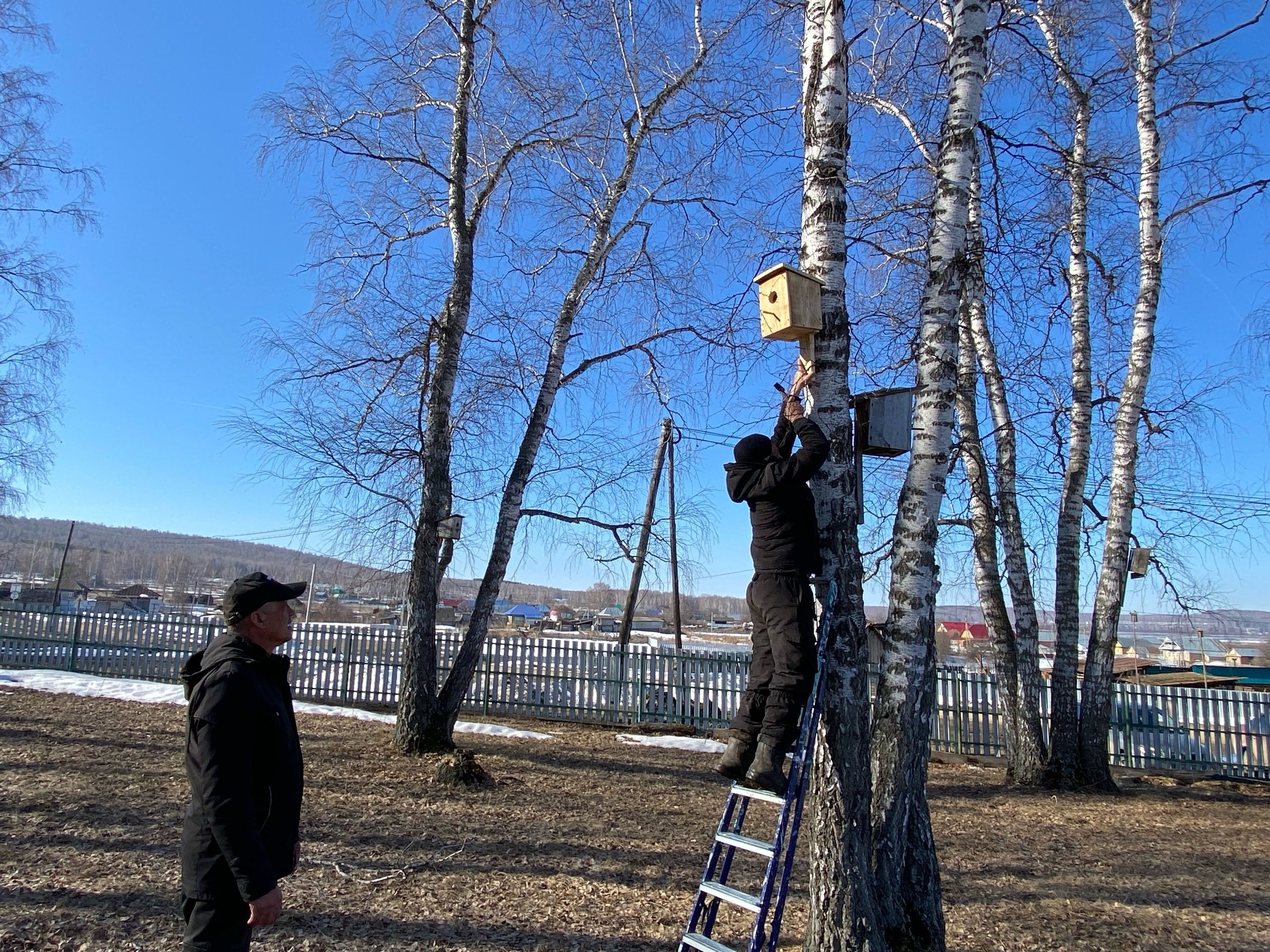 Бөтә донъя ҡоштар көнө