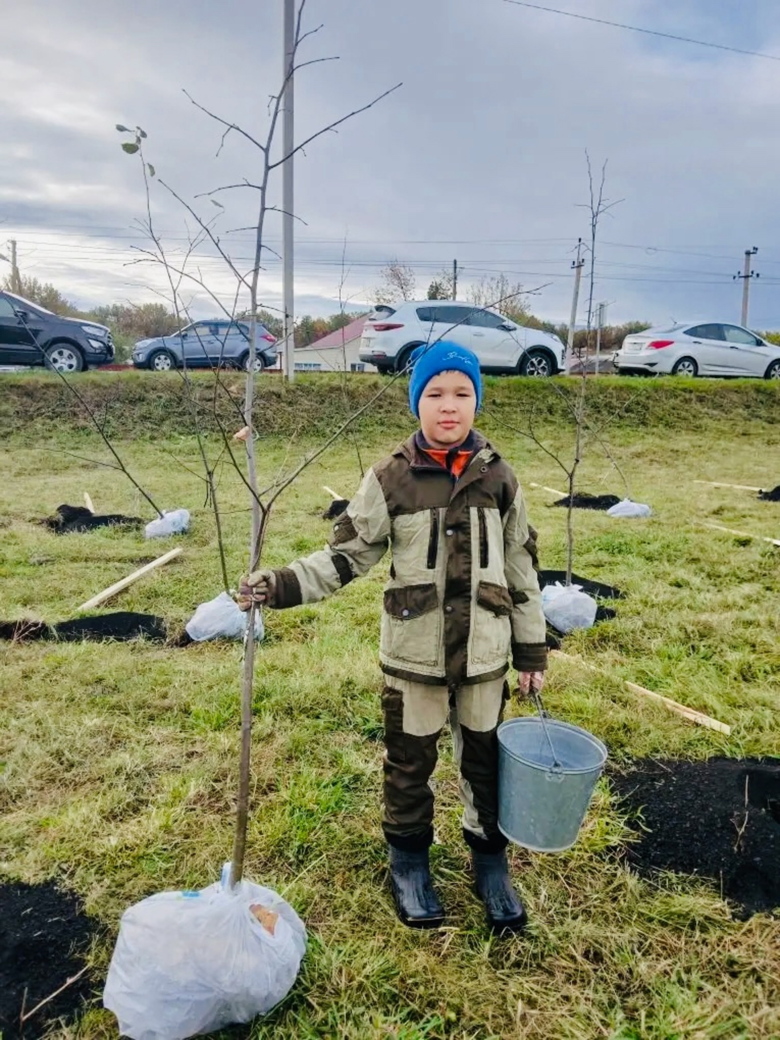 Йүкә ағасы ултырттыҡ