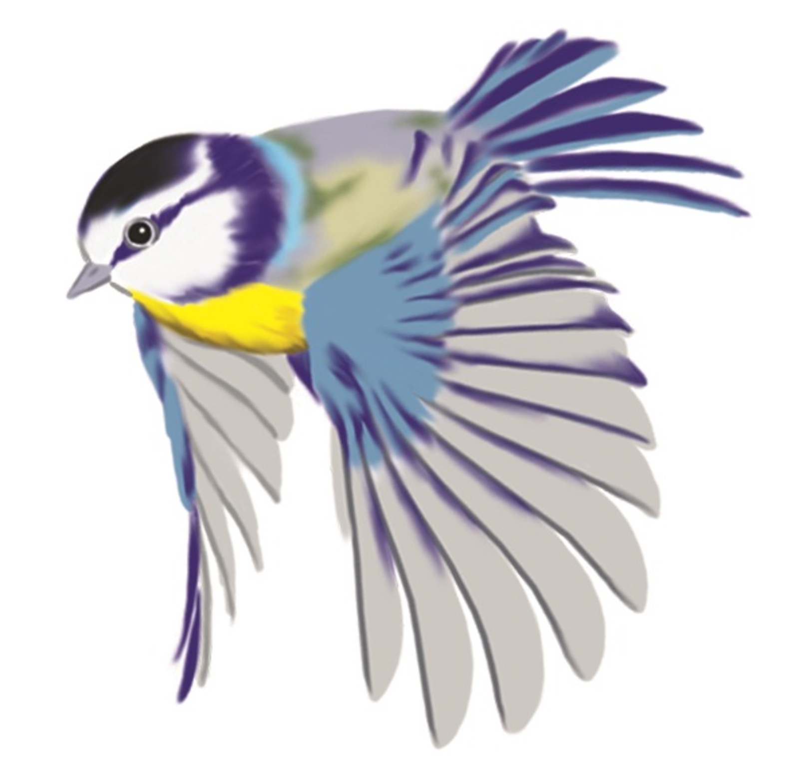 Ҡарабаш турғай