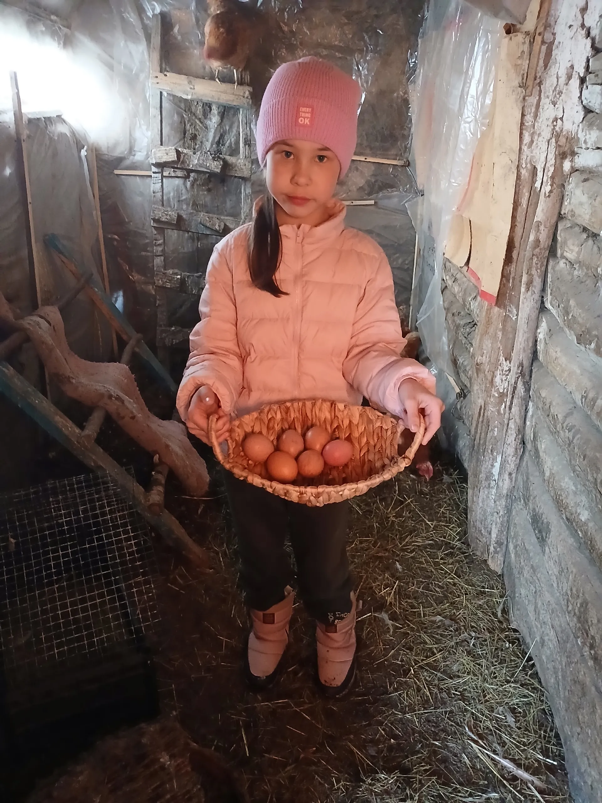 Аиданың себешкәйе
