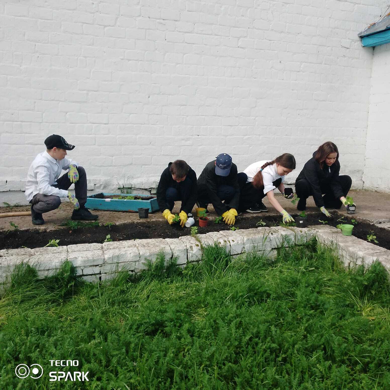 Ҡырмыҫҡа кеүек эшләйҙәр ҙә