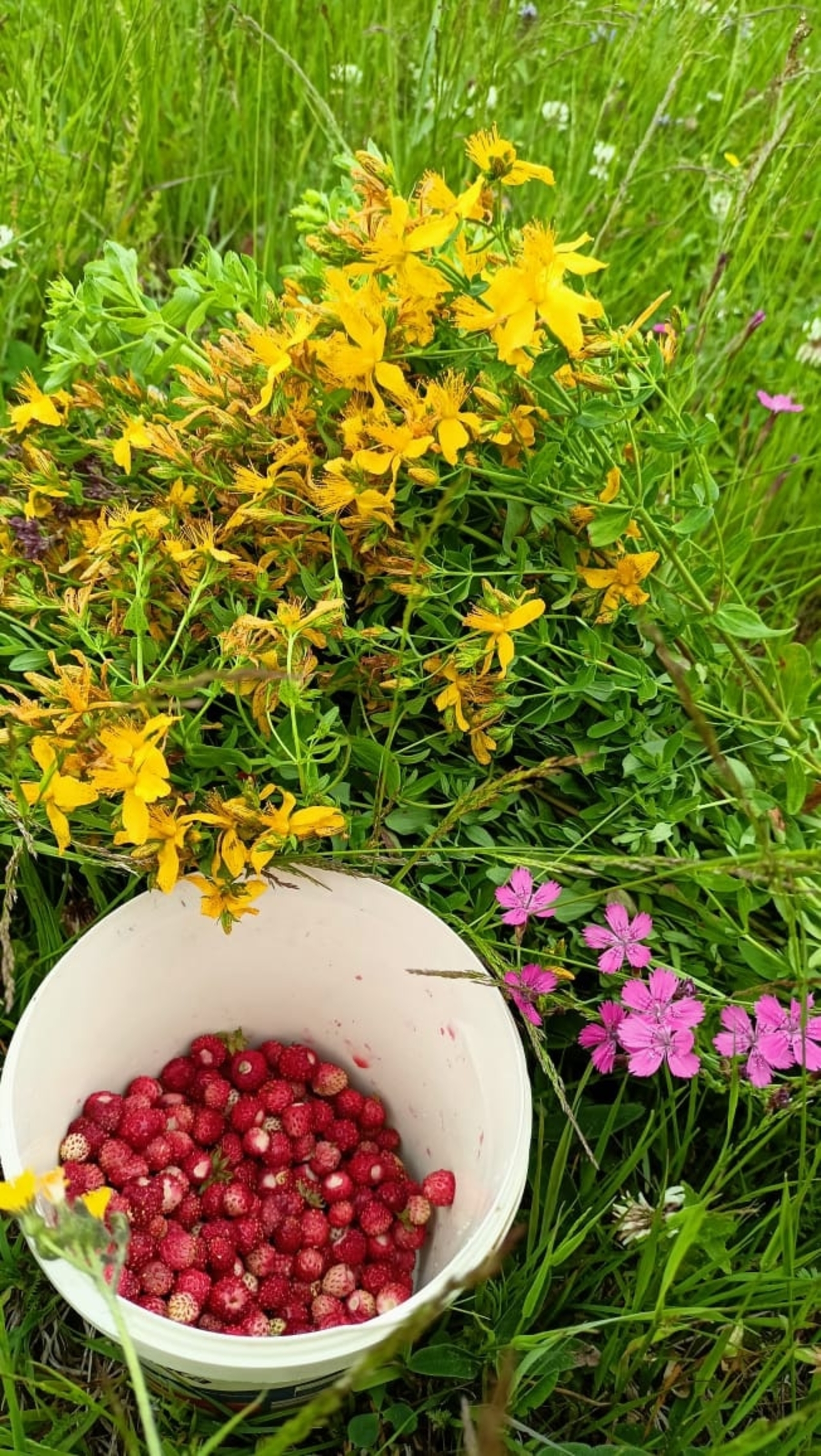 Үҙегеҙгә һаҡлап ҡуйығыҙ, дуҫтар!