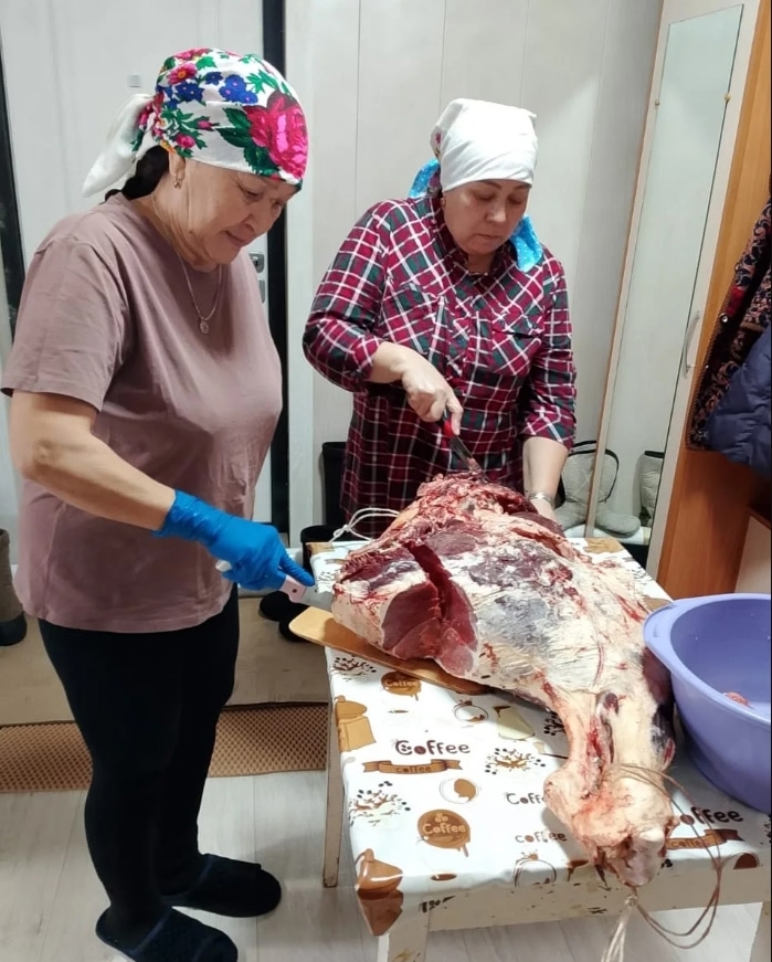 Яугирҙарға — быҡтырылған ит