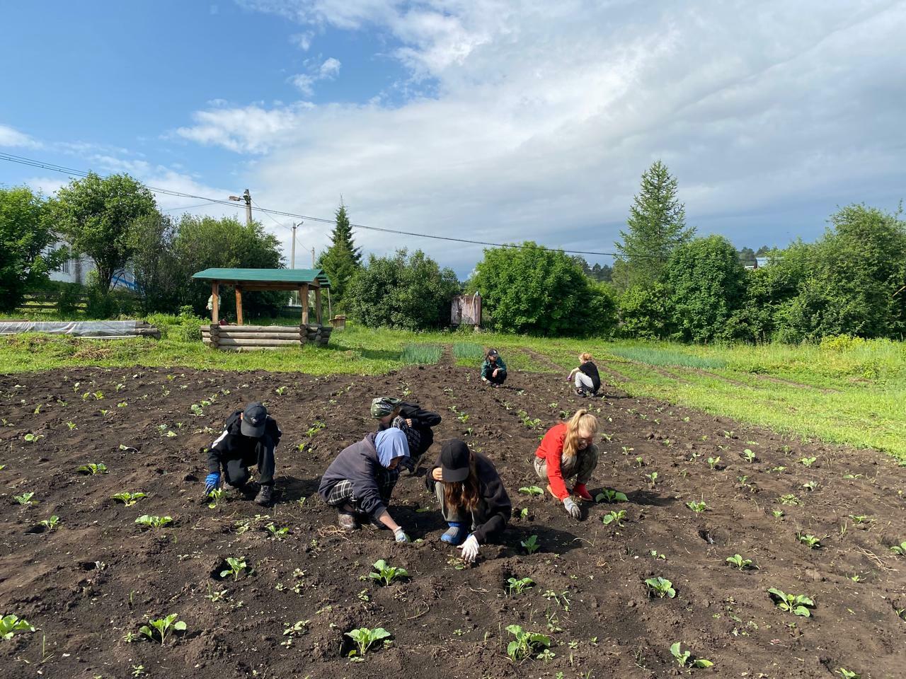 Мул уңыш булһын!